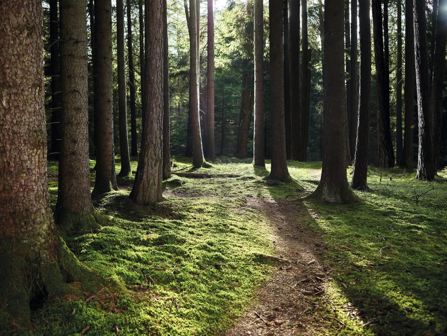 Environment