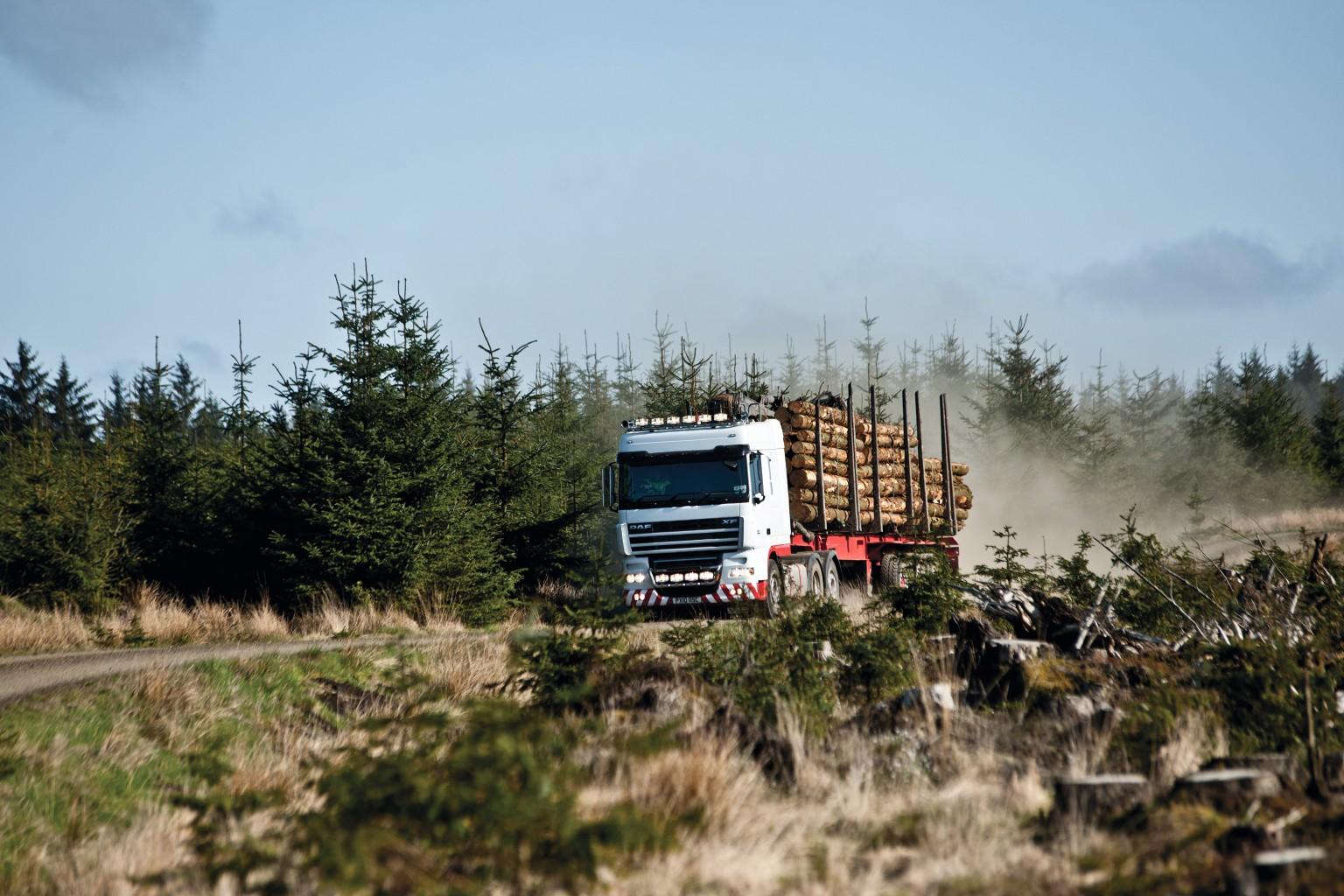 Holzlogistik