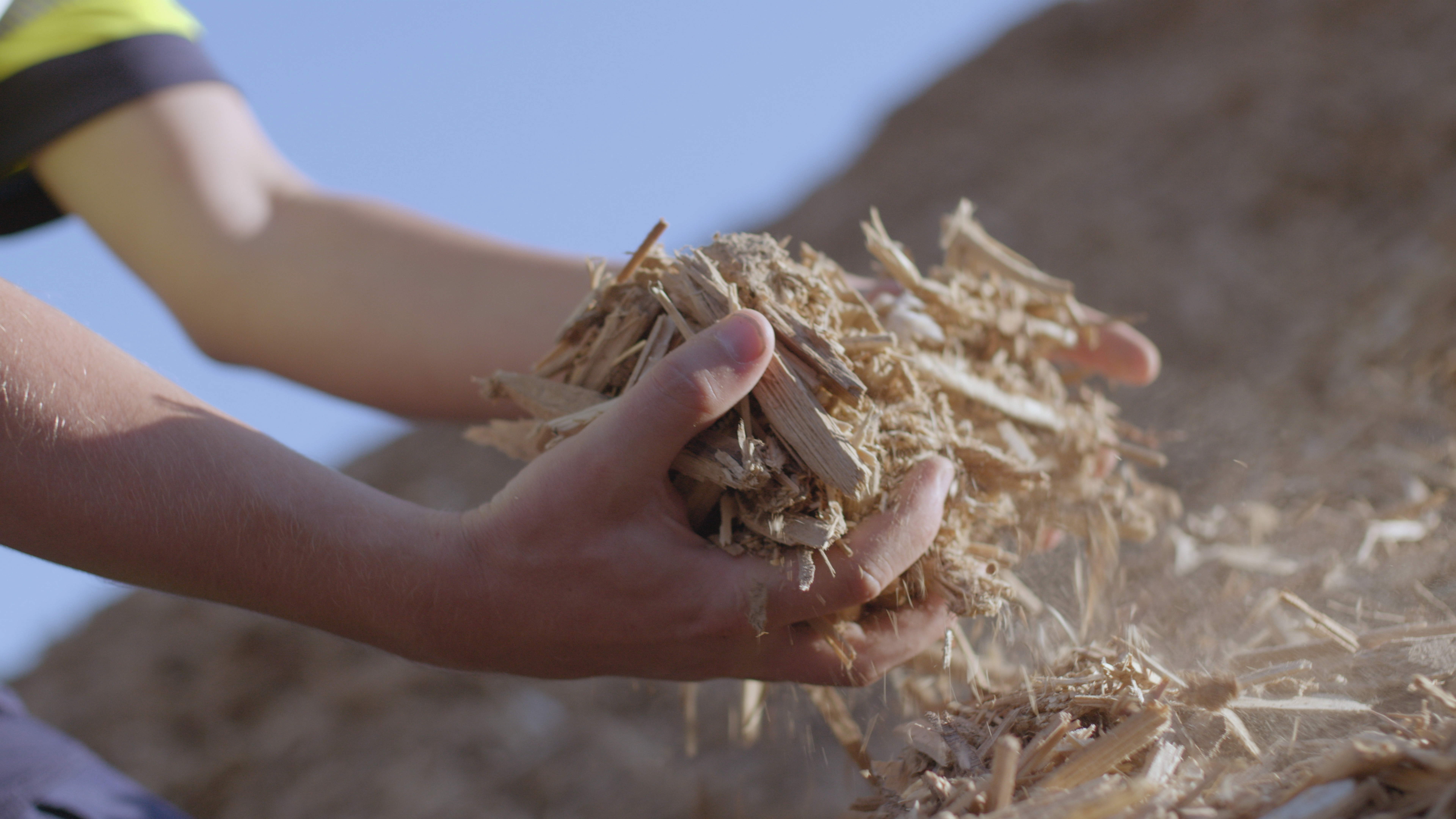 Hands holding hackchips in front of a heap of hackchips