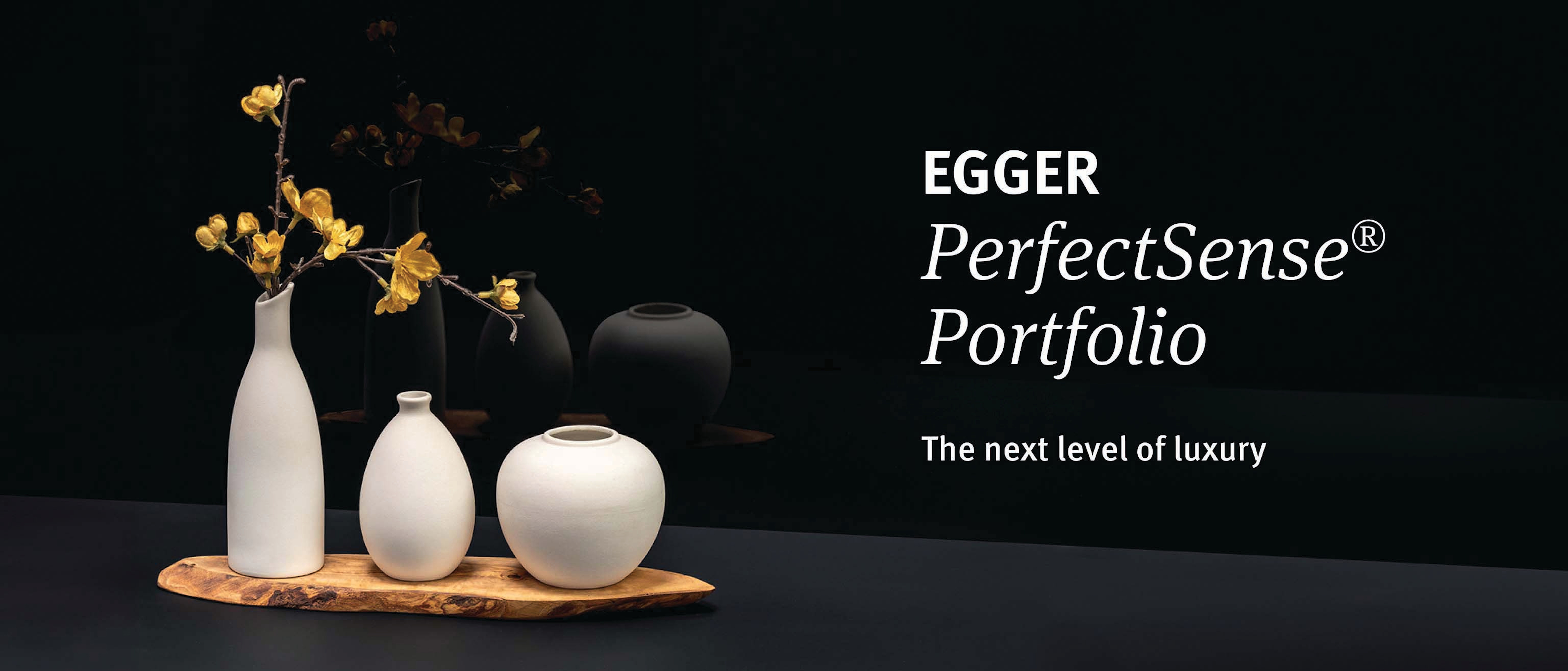 PerfectSense Product Portfolio
