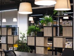 Open-plan offices with an inviting character thanks to a spacious room concept.