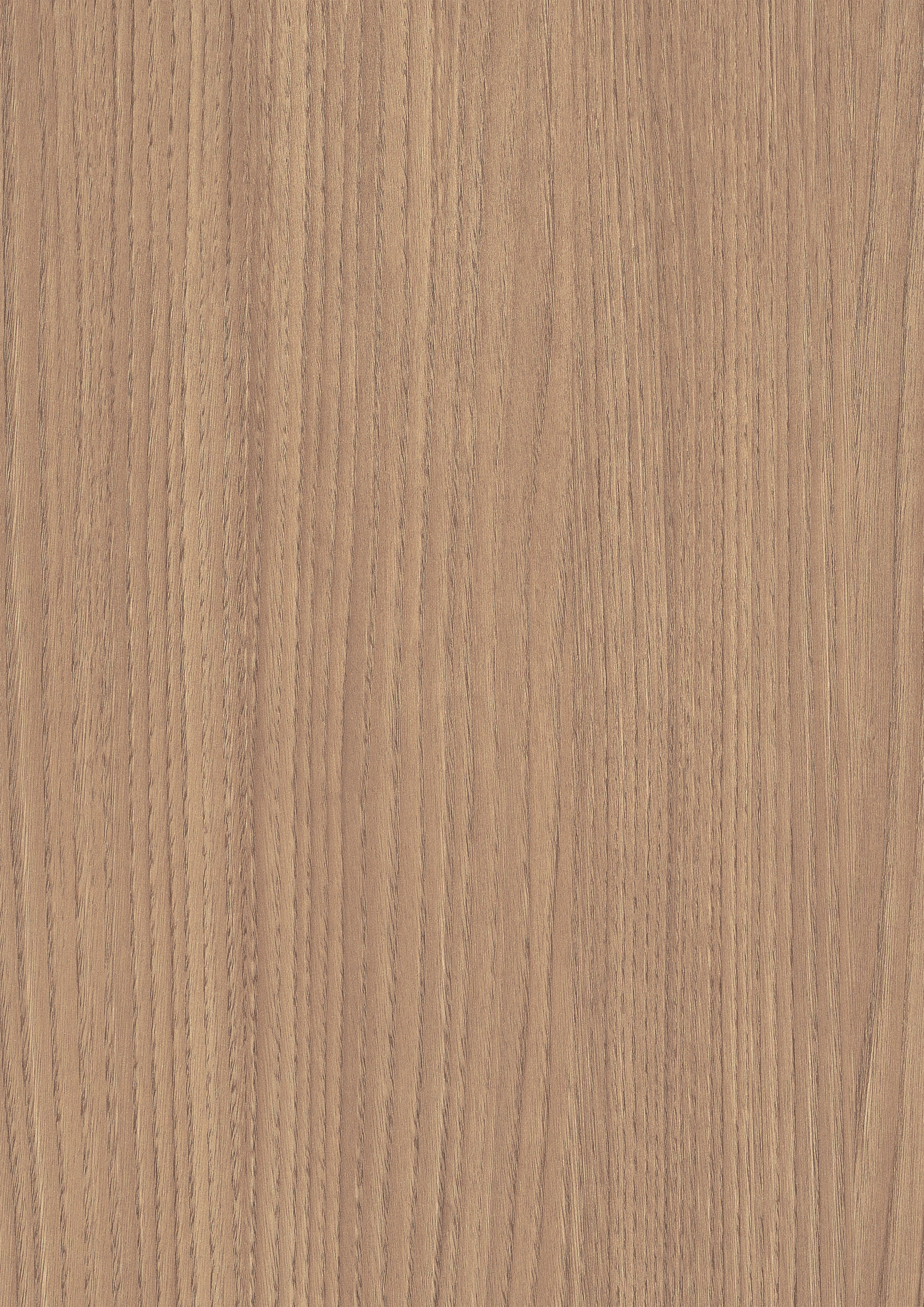 ST17 Omnipore Oiled perspective image 