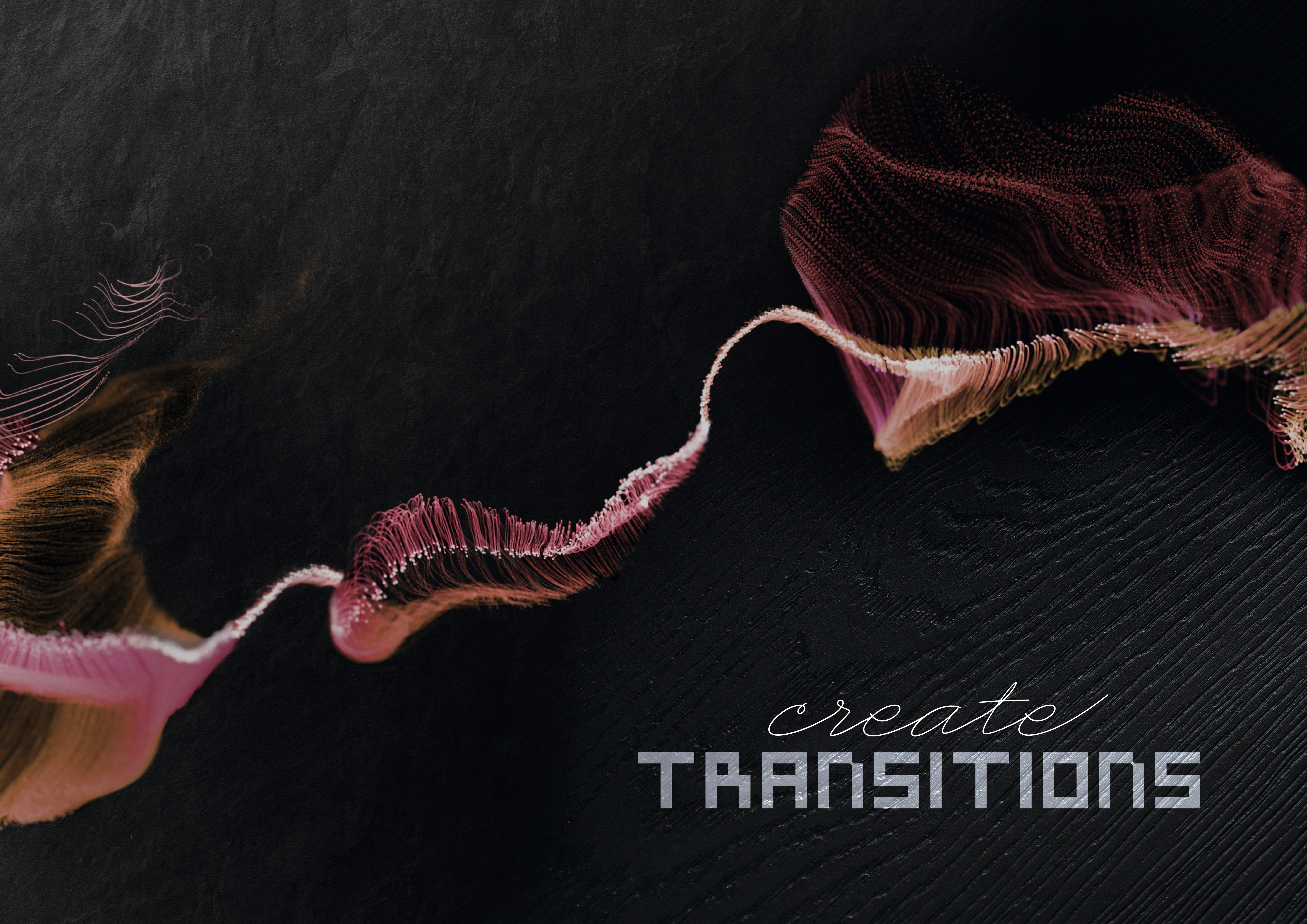 Create Transitions