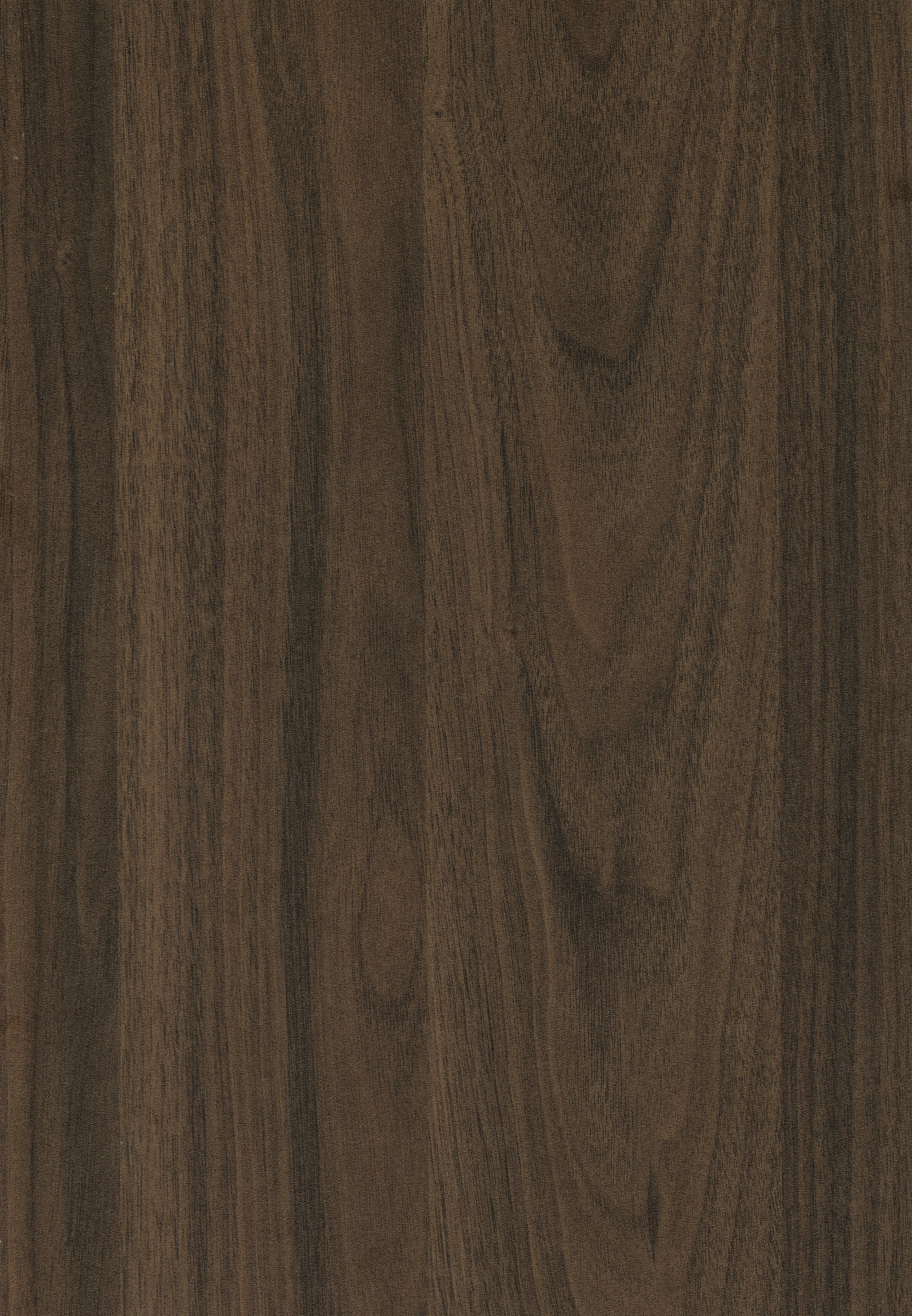 Carini Walnut | EGGER