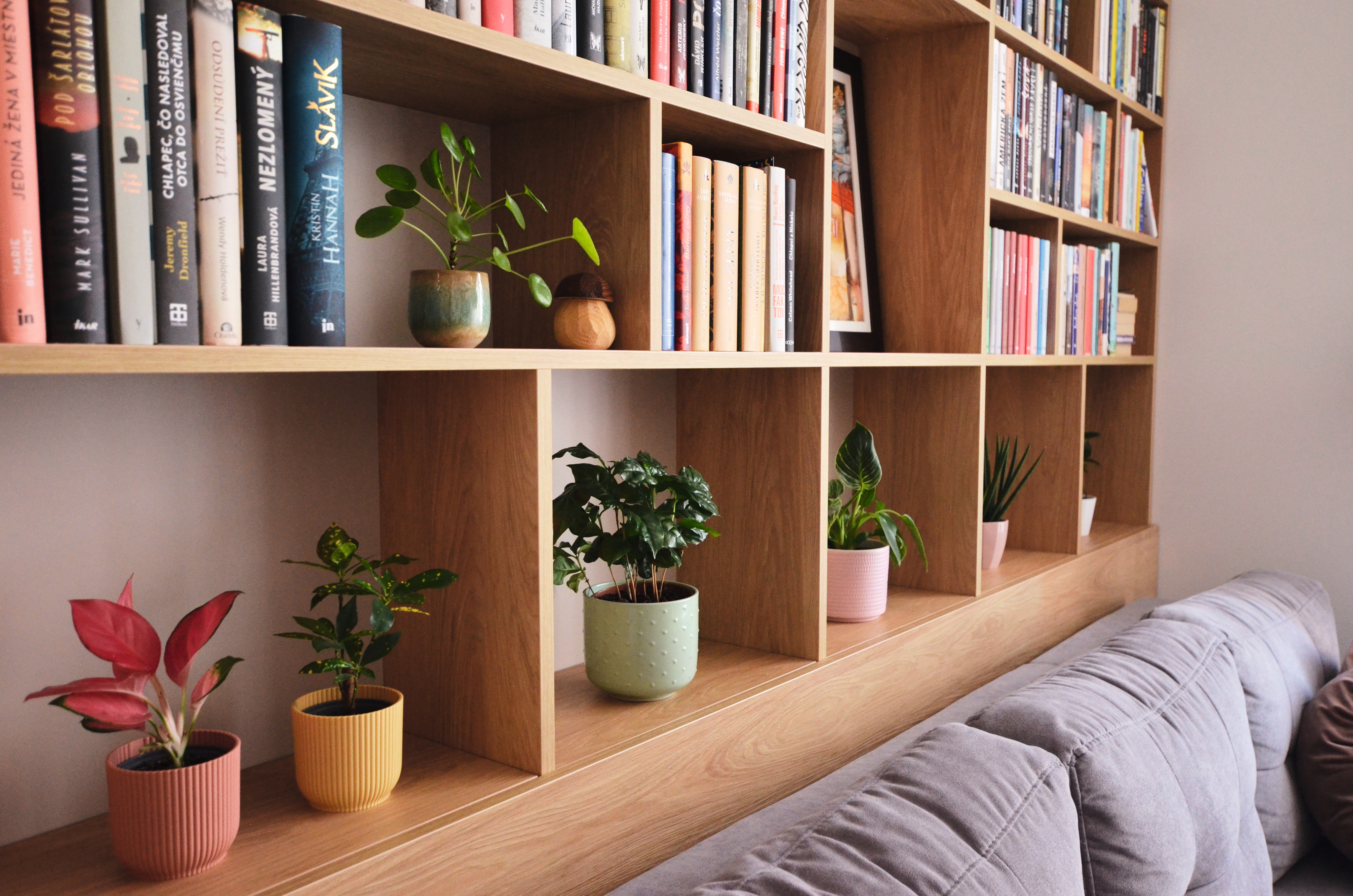 Decorative Collection app Decorative Collection app