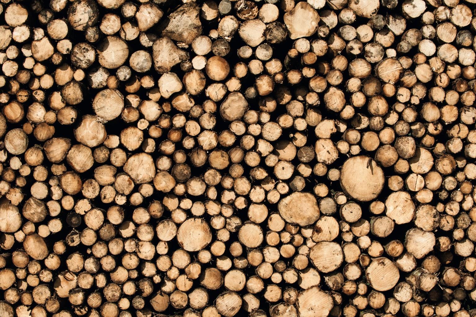 Madera rolliza