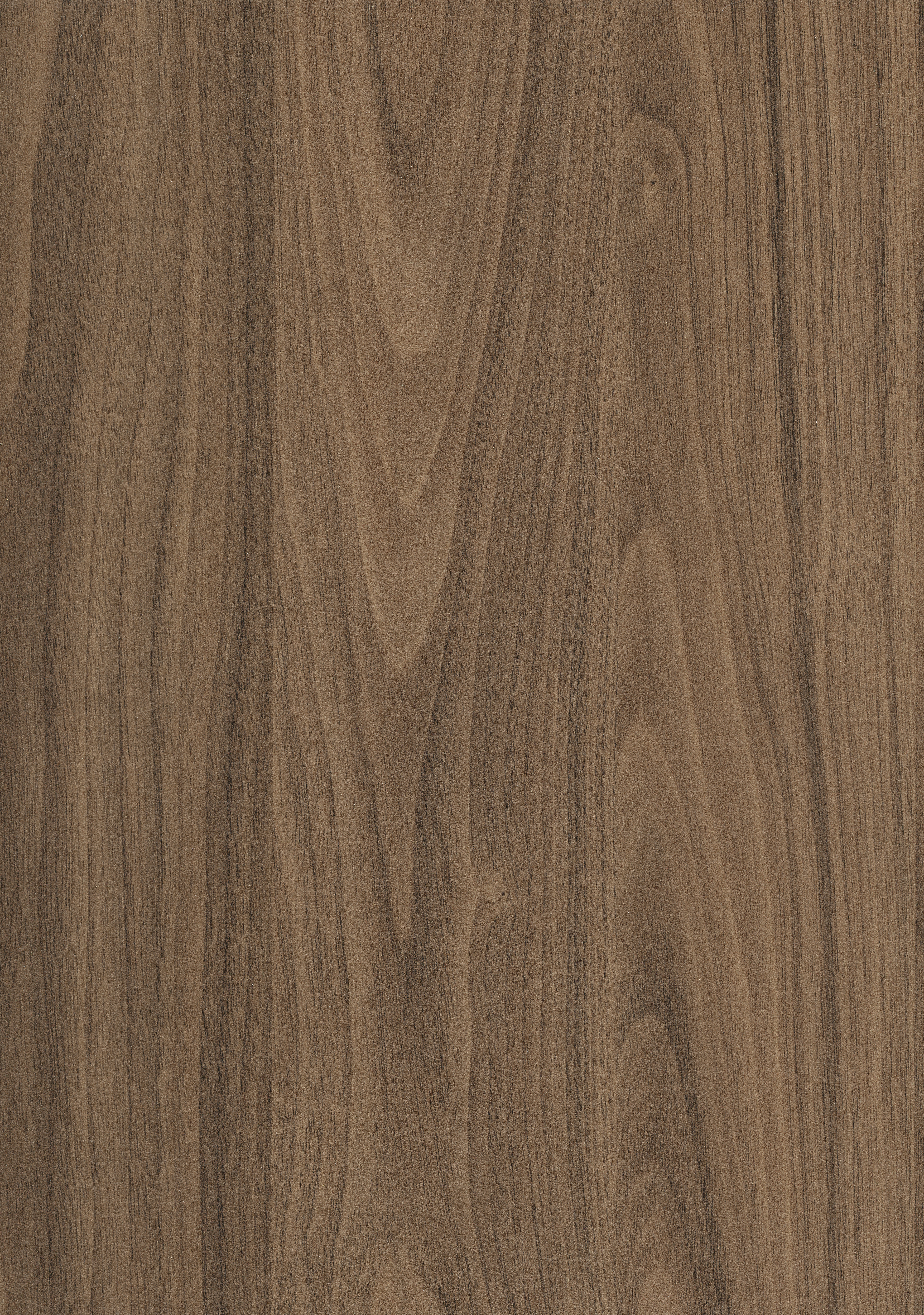 H3710 ST9 Natural Carini Walnut