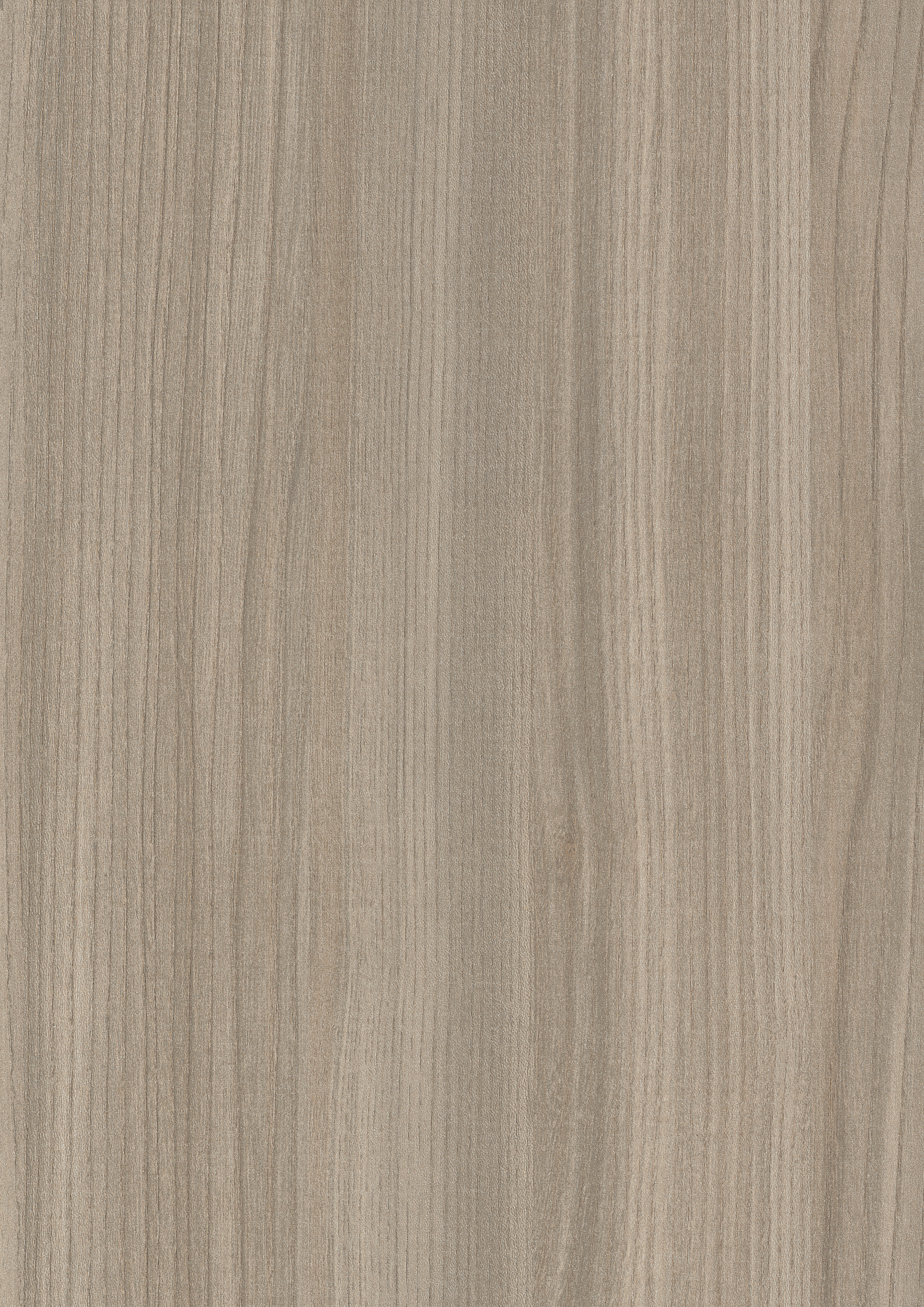 H7552 STU6 Grey Montale Ash