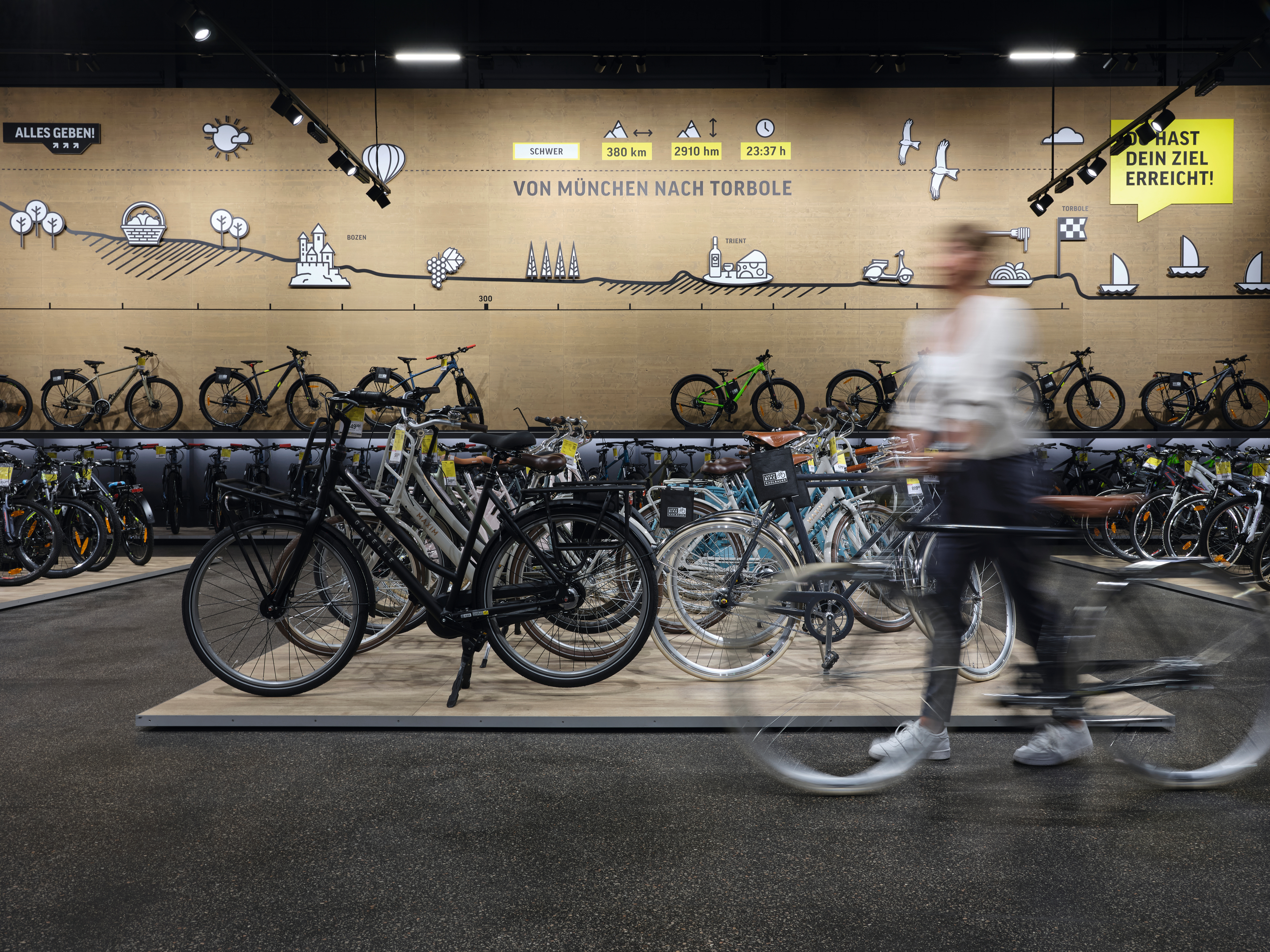 Design pod GreenTec Monfort hrast naraven je uporabljen kot podstavek za kolesa v kolesarski trgovini. 