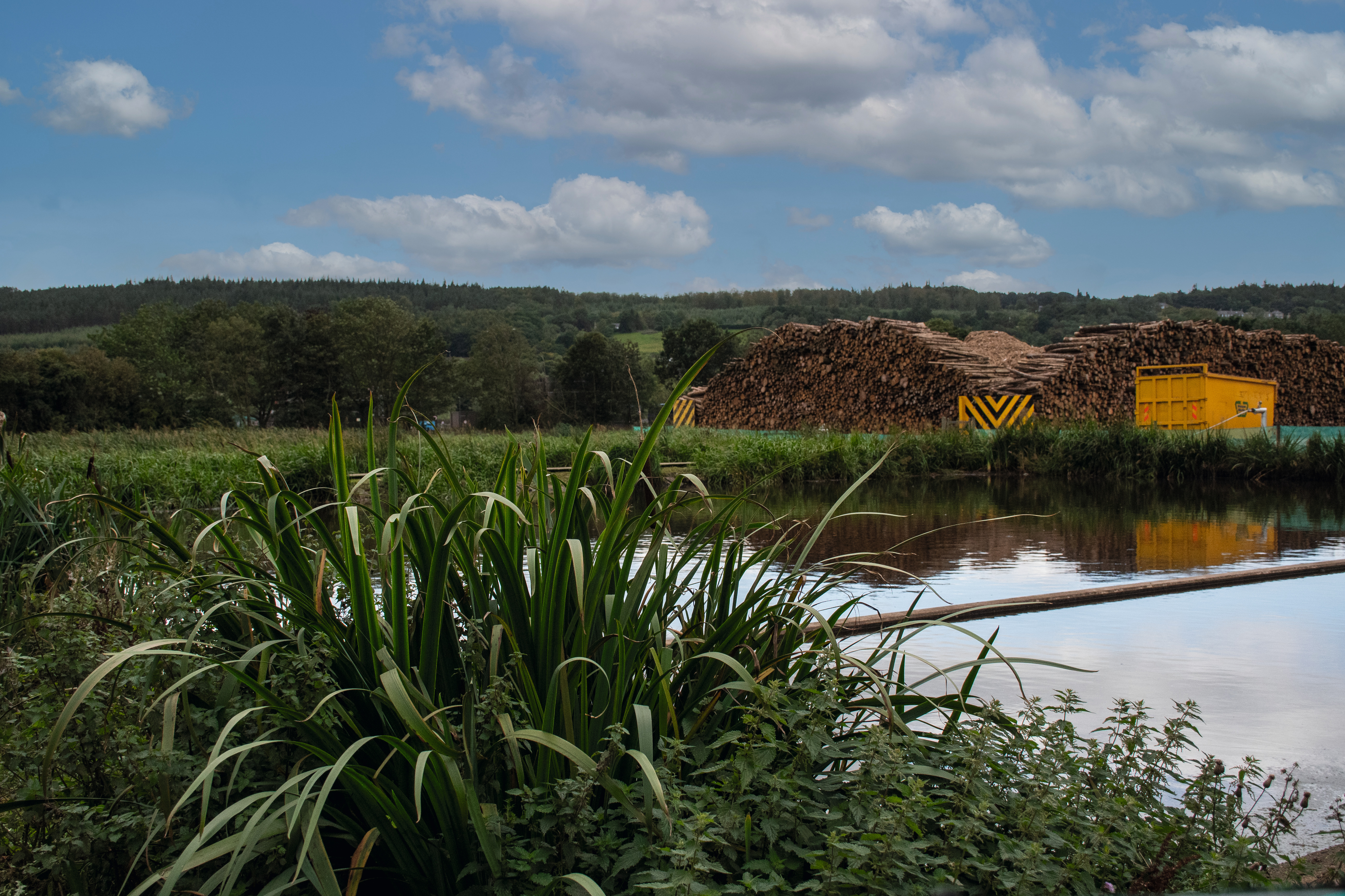 EGGER Hexham Reed Beds