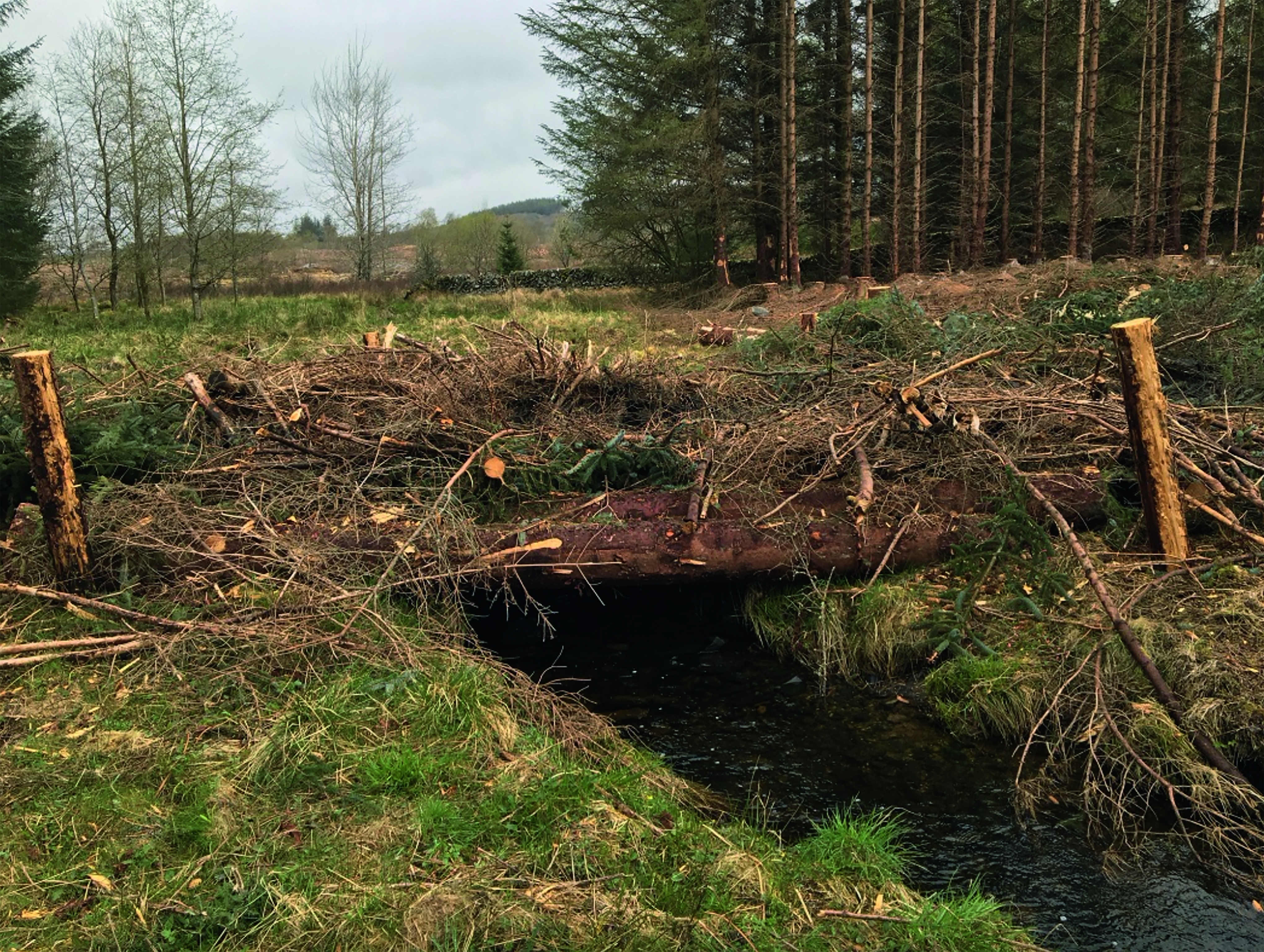 Barnshalloch Moor