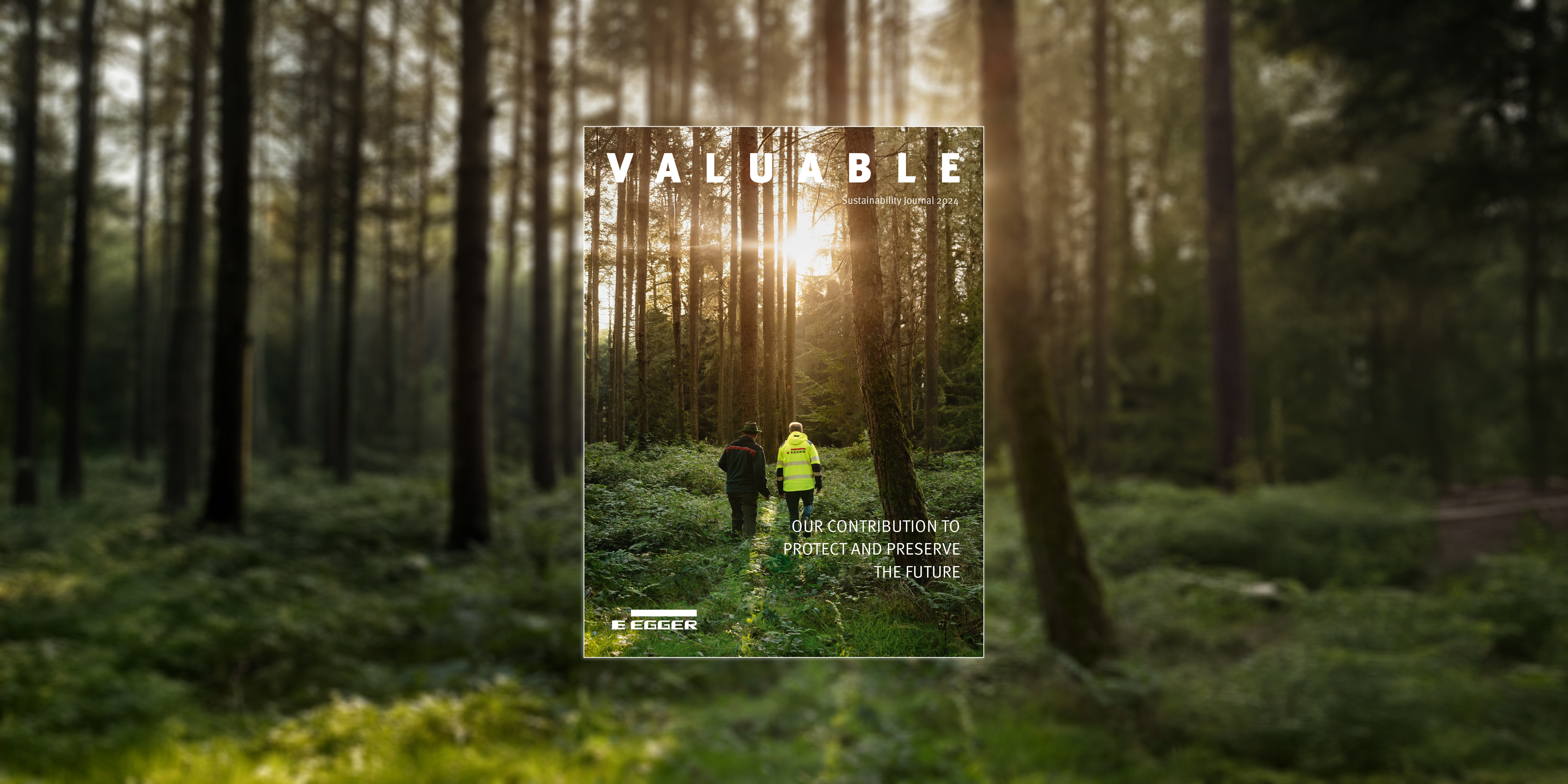 Cover sustainability journal VALUABLE 