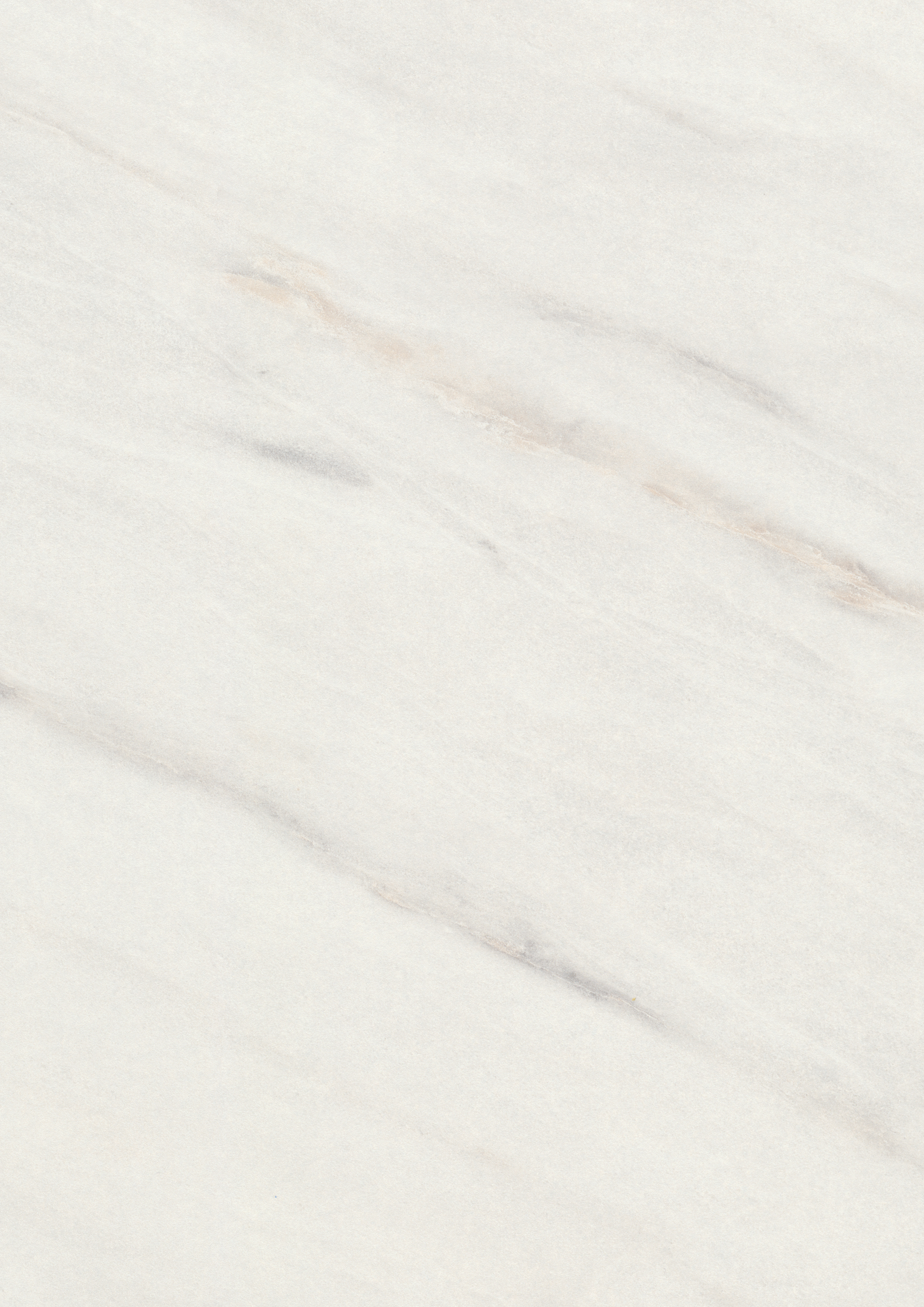 F812 ST9 White Levanto Marble
