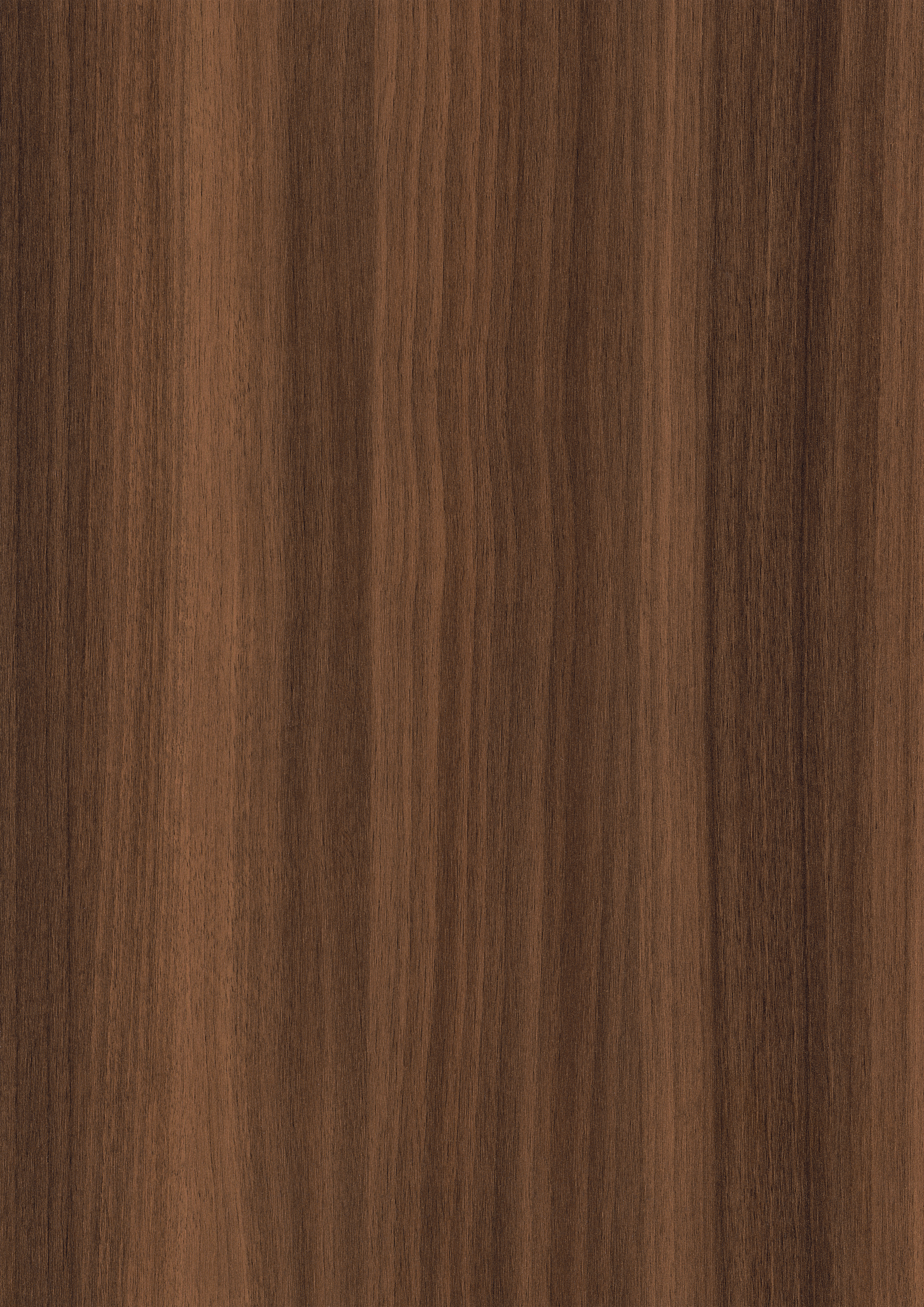 H7586 ST17