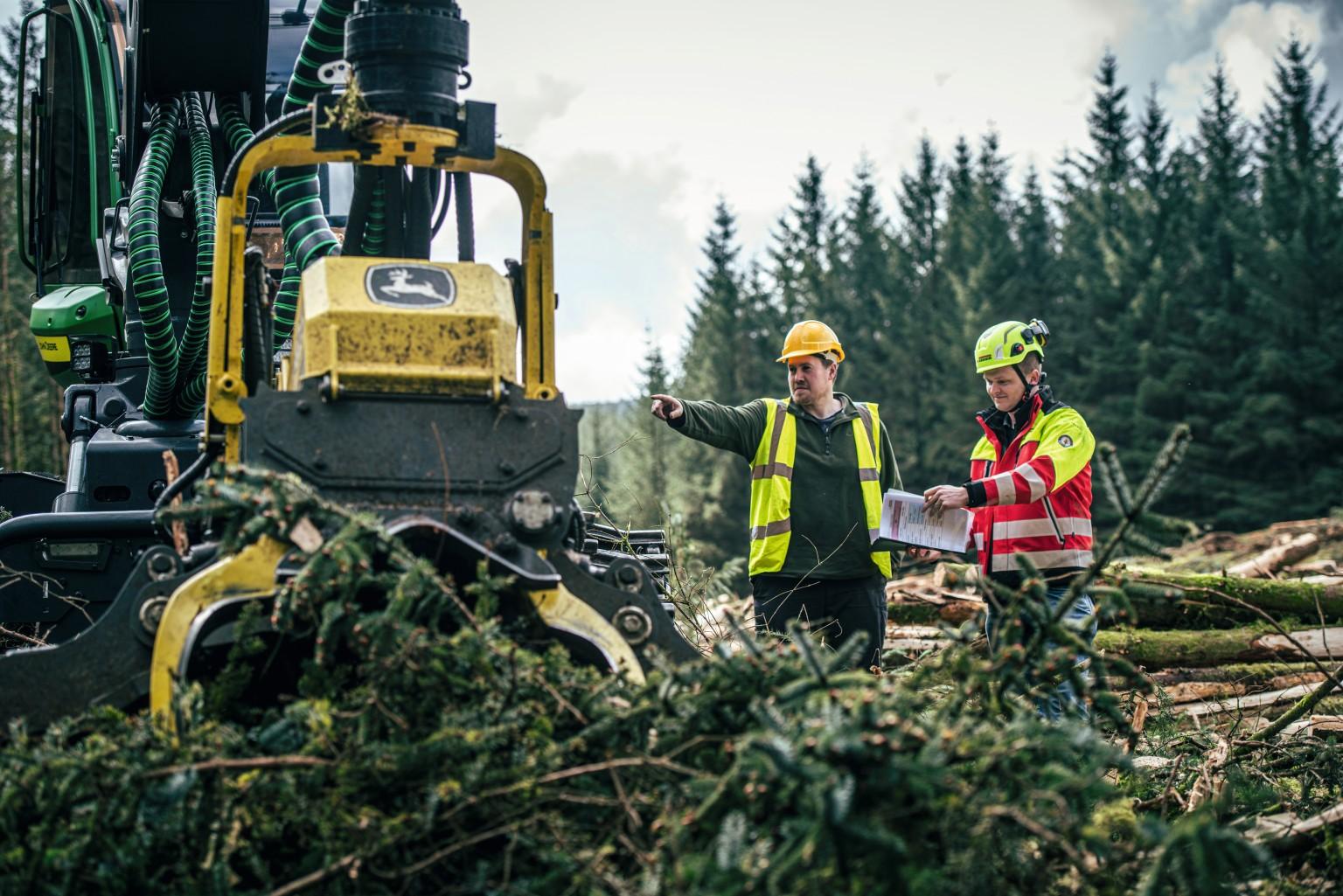 Forestry