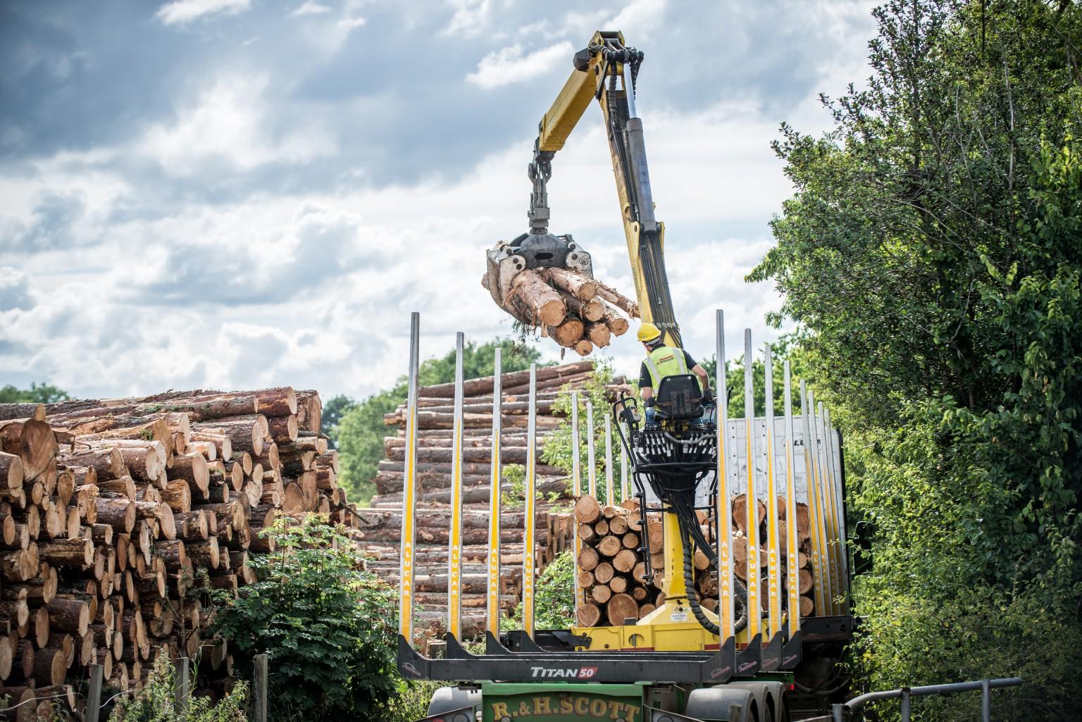 Dienstleistung und Holzlogistik