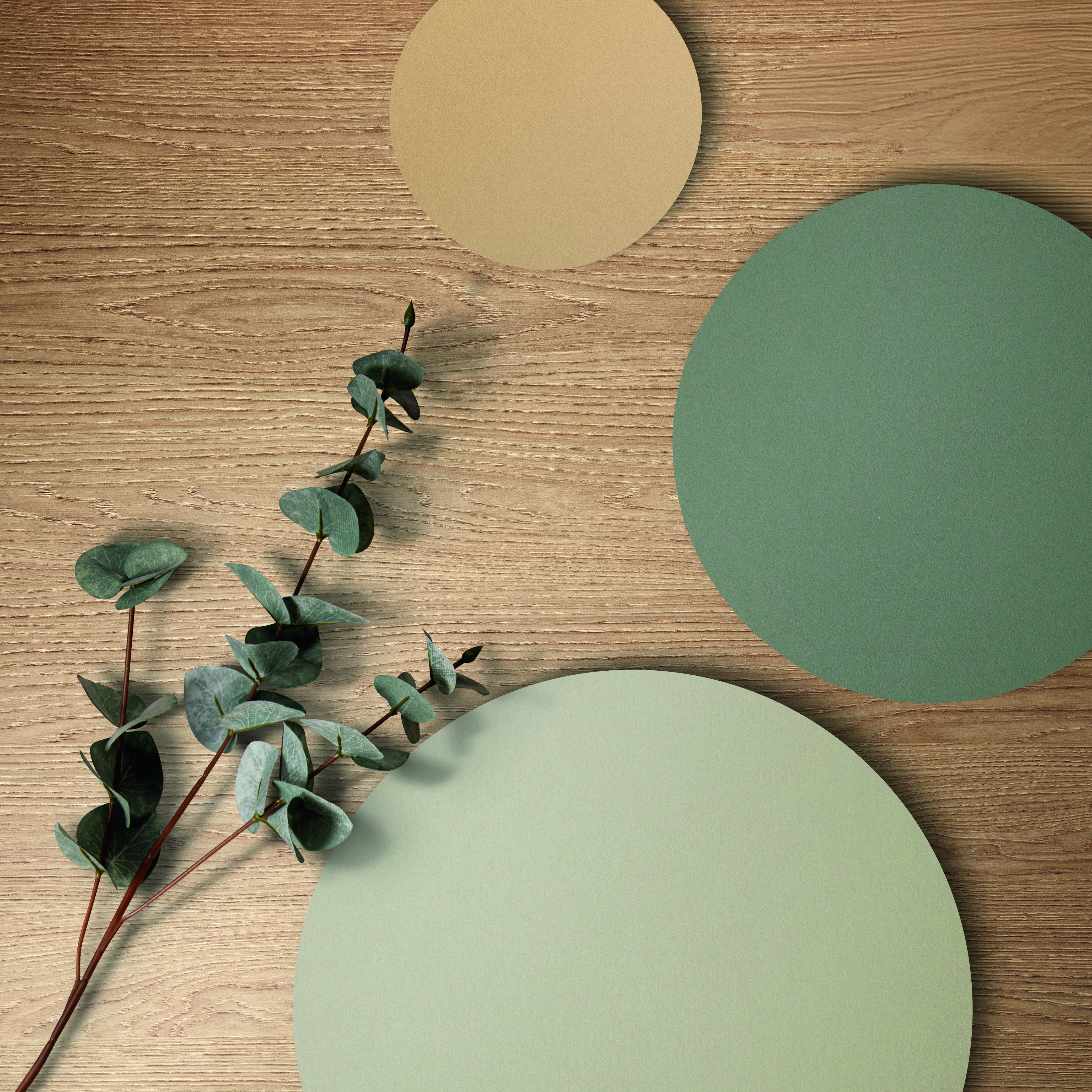 Colour Harmony Moodboard