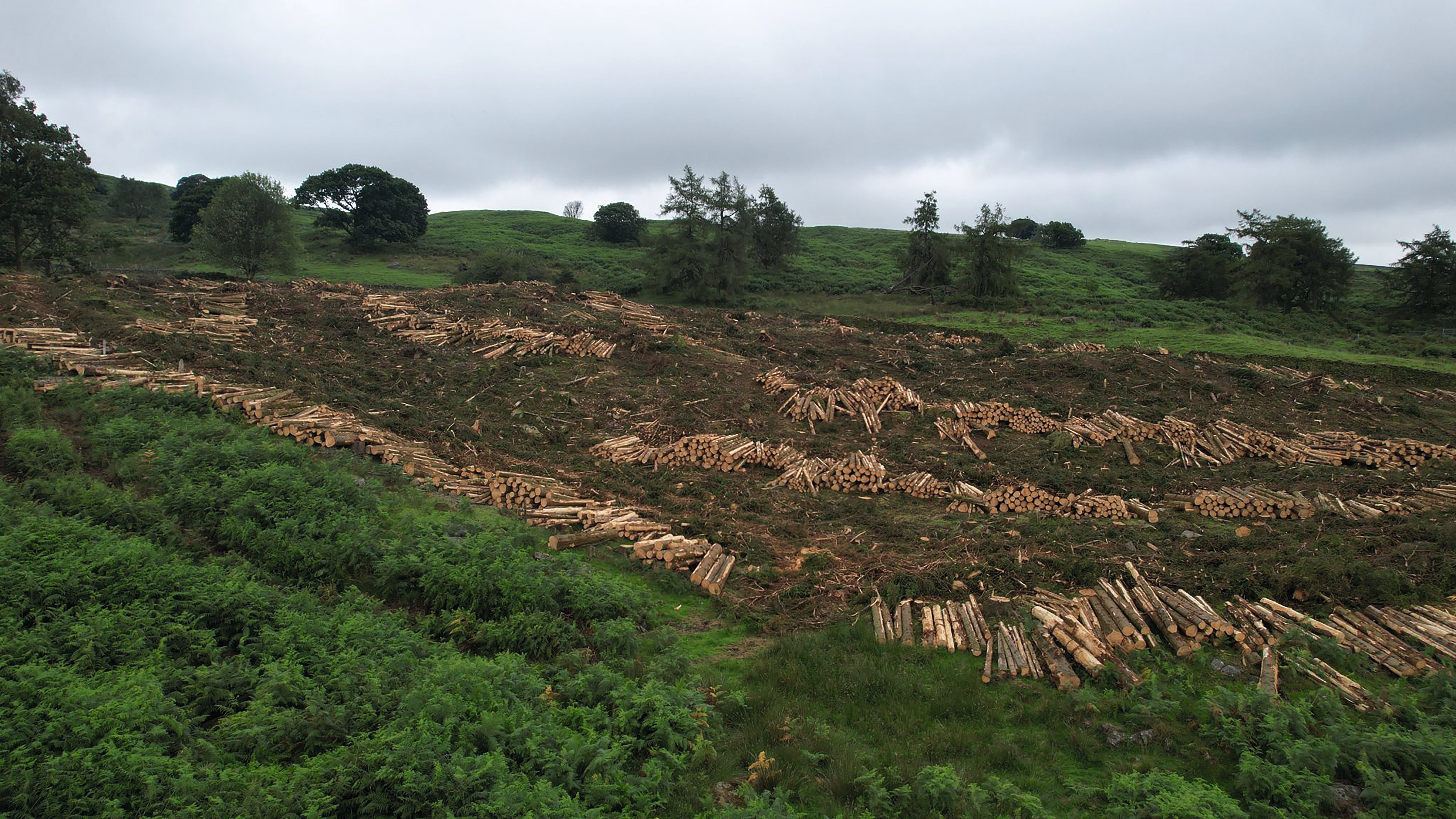 High Borrans, Windermere.