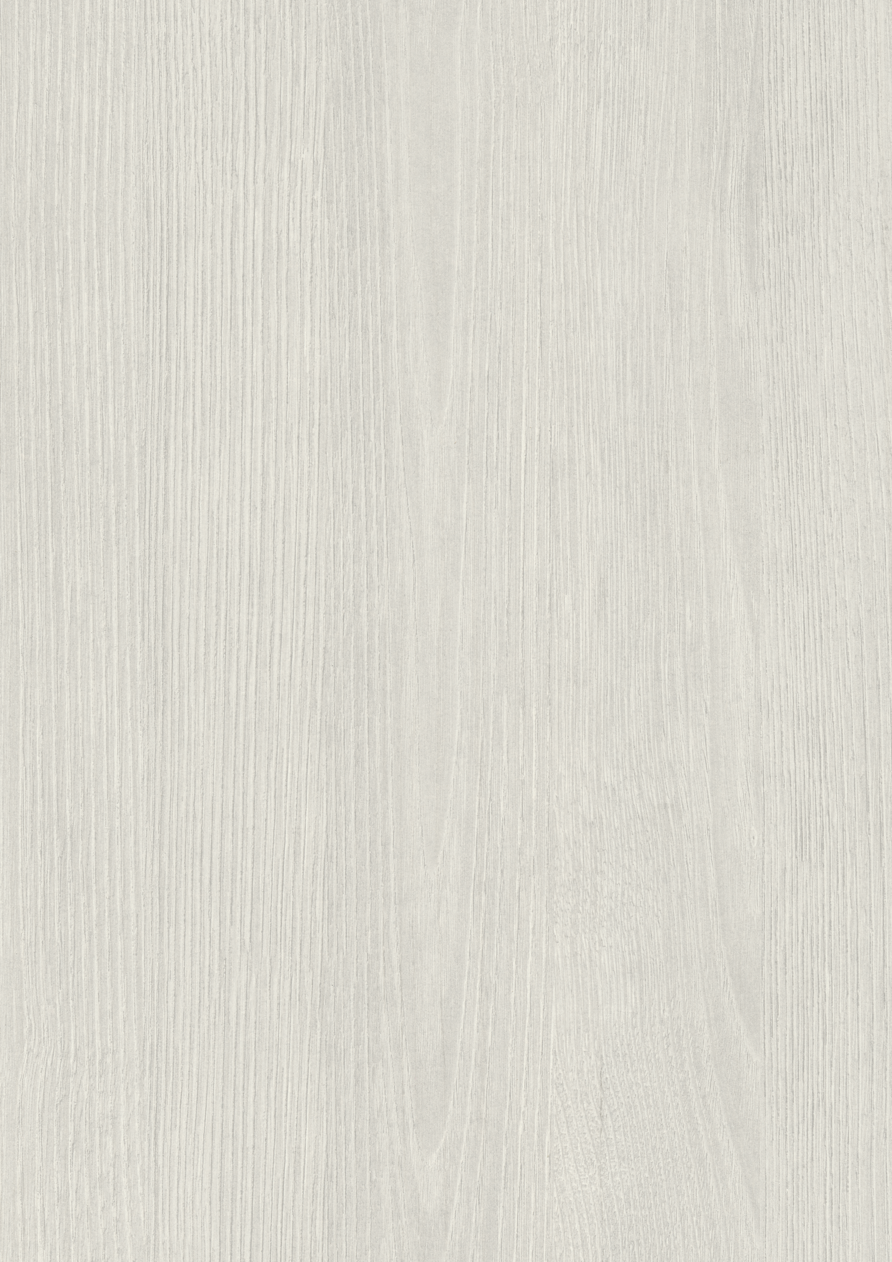 White Frozen Wood H1290 ST19