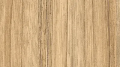 Coco Bolo