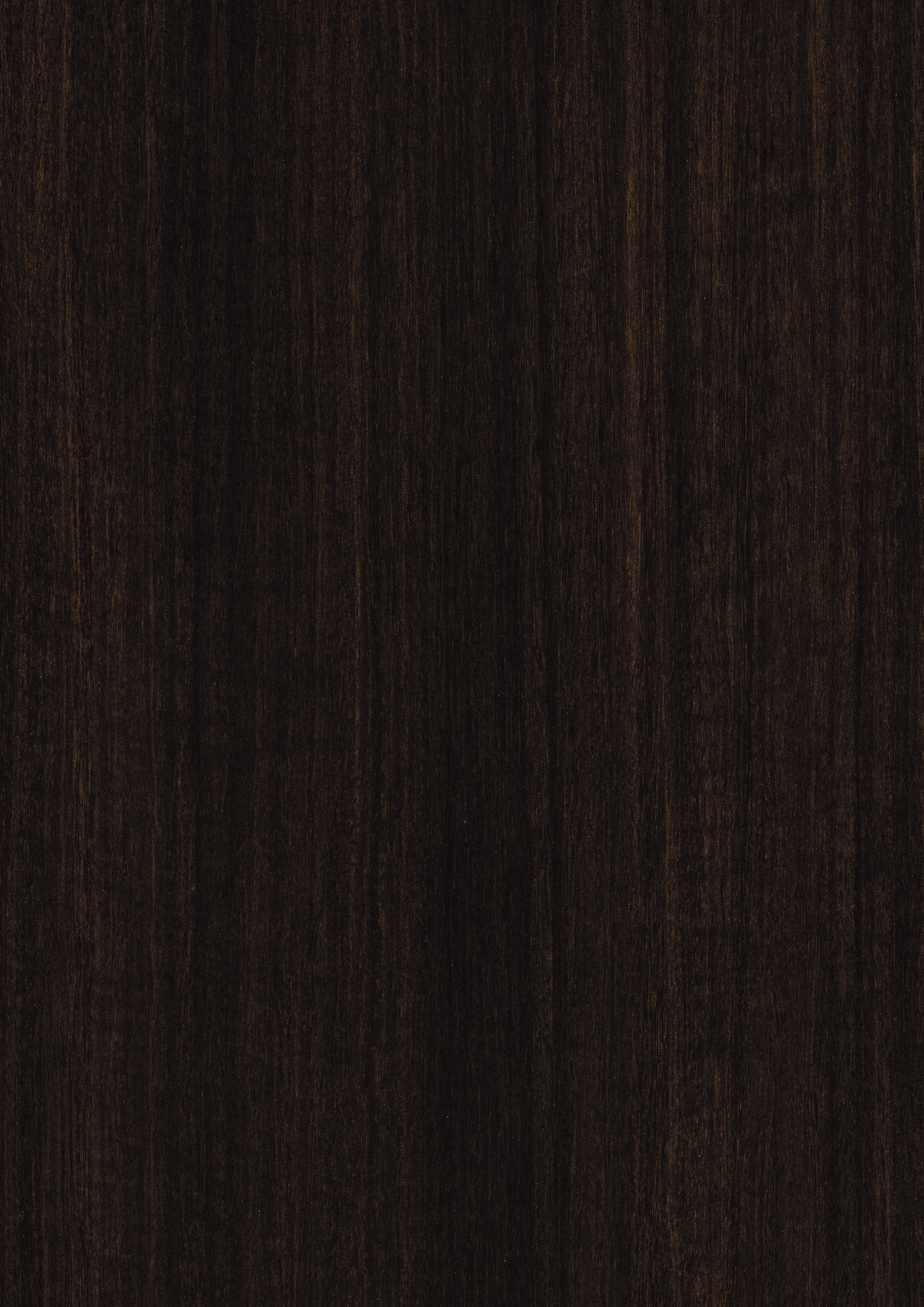 Dark Brown Eucalyptus H3043 ST12