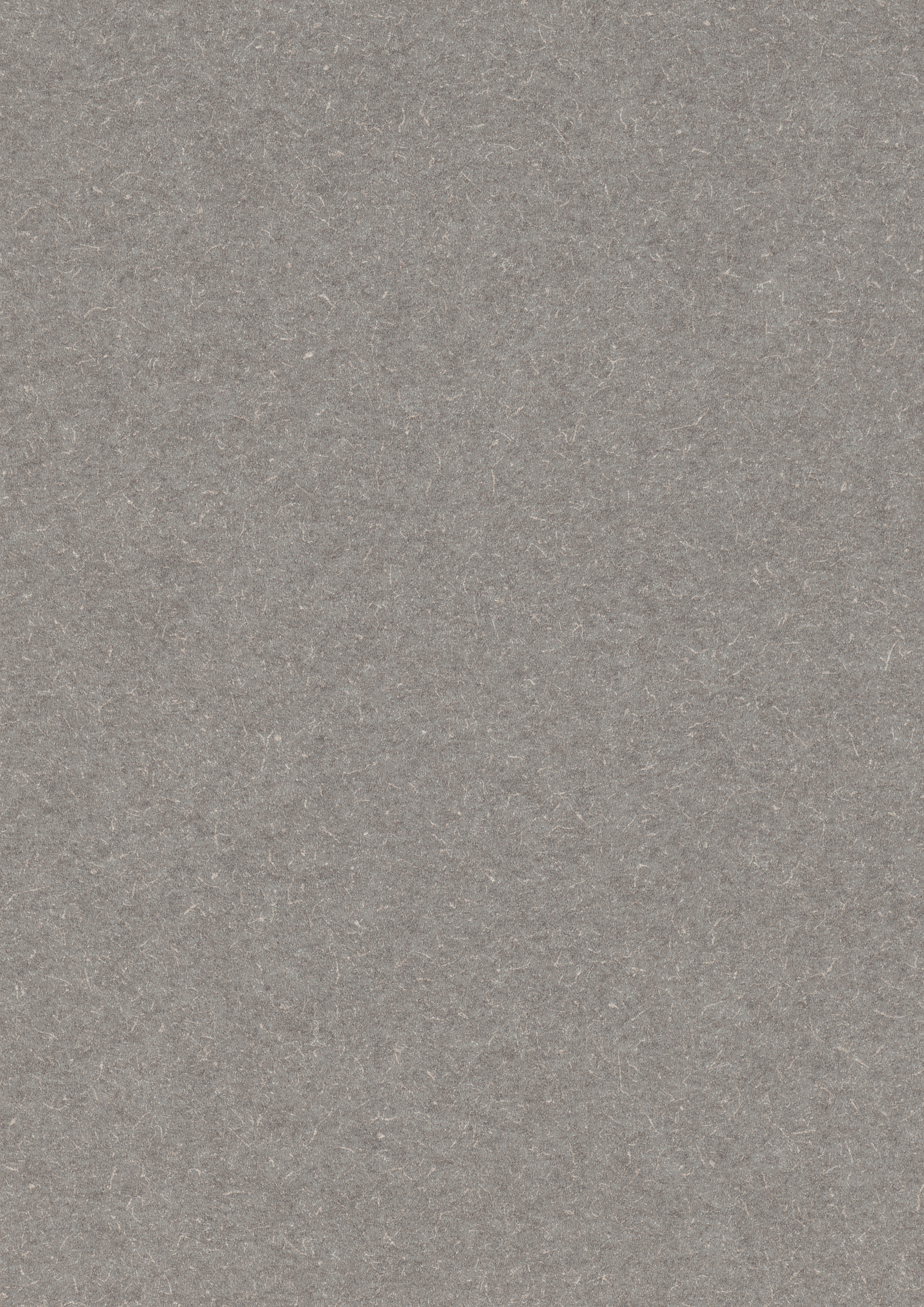Grey Canvas F634 ST76