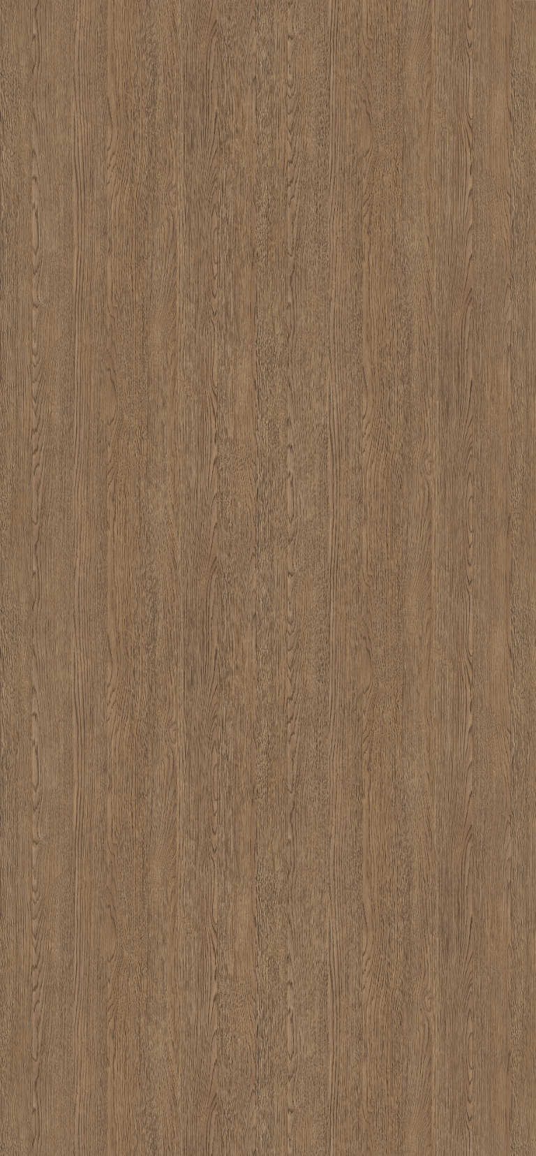 H1303 ST12 Brown Belmont Oak