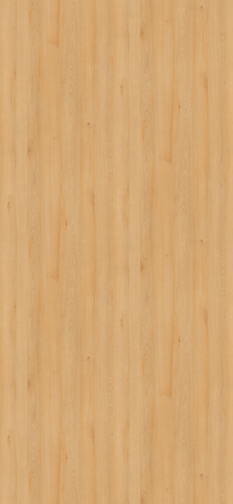 H1910 ST9 Willow Beech