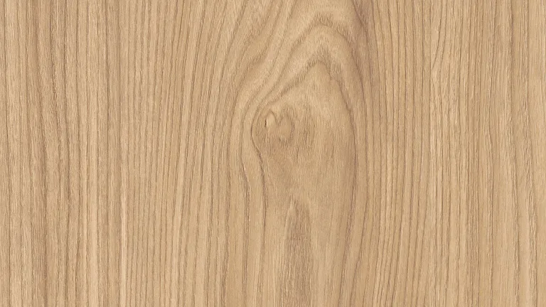 Akacja Sheffield naturalna
