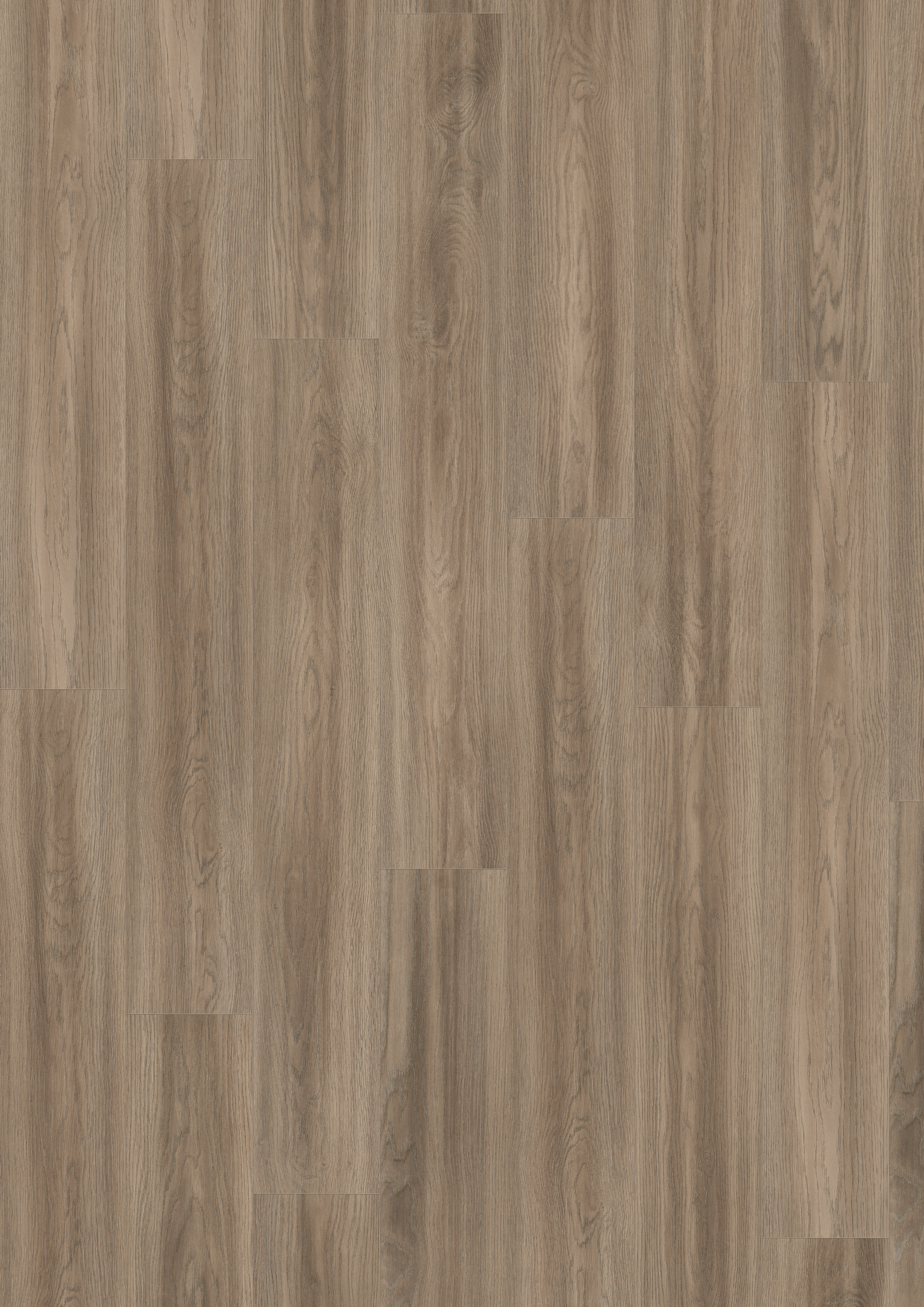 EL2065 Grey Soria Oak