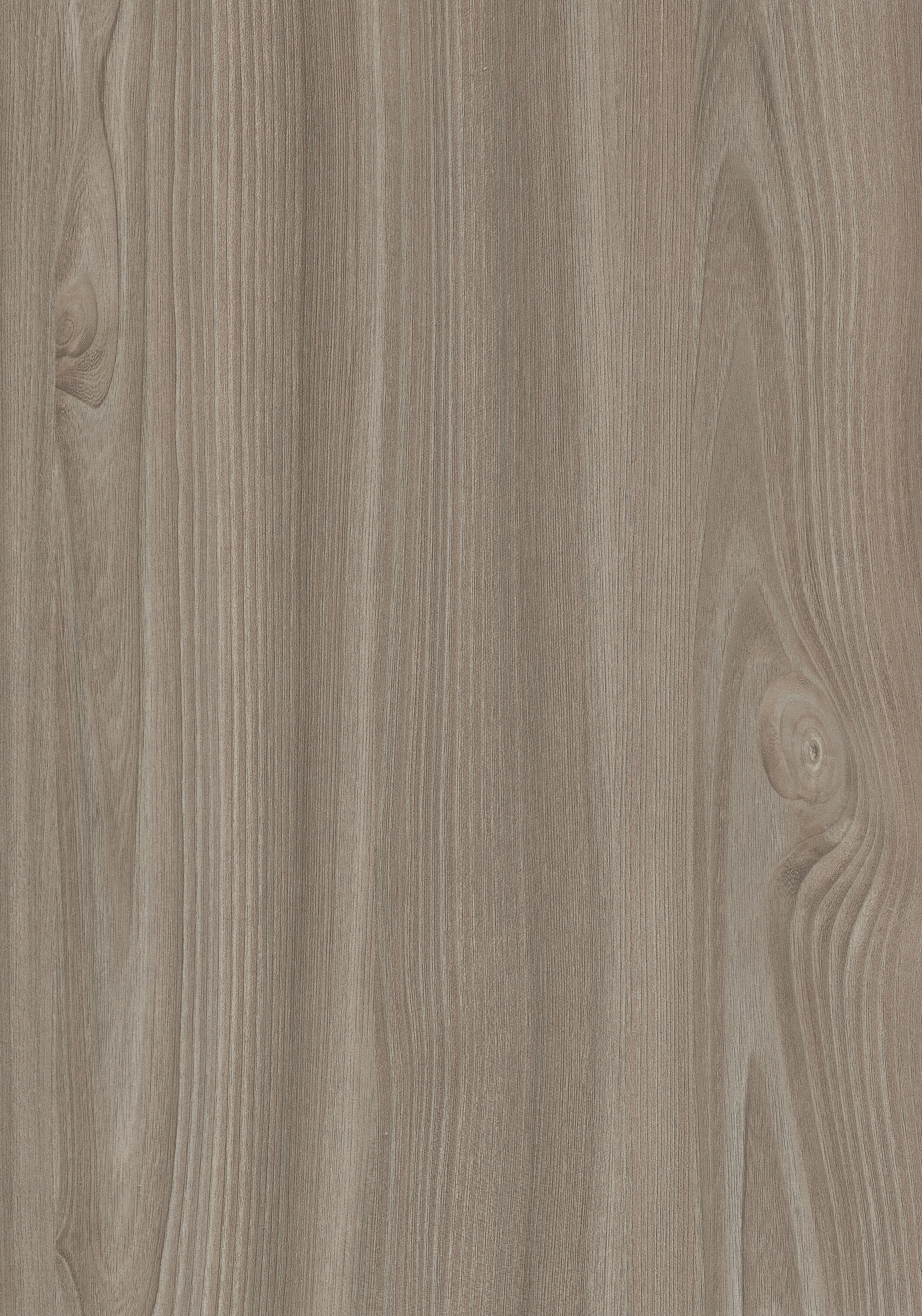 Grey-Beige Tossini Elm H1210 ST12