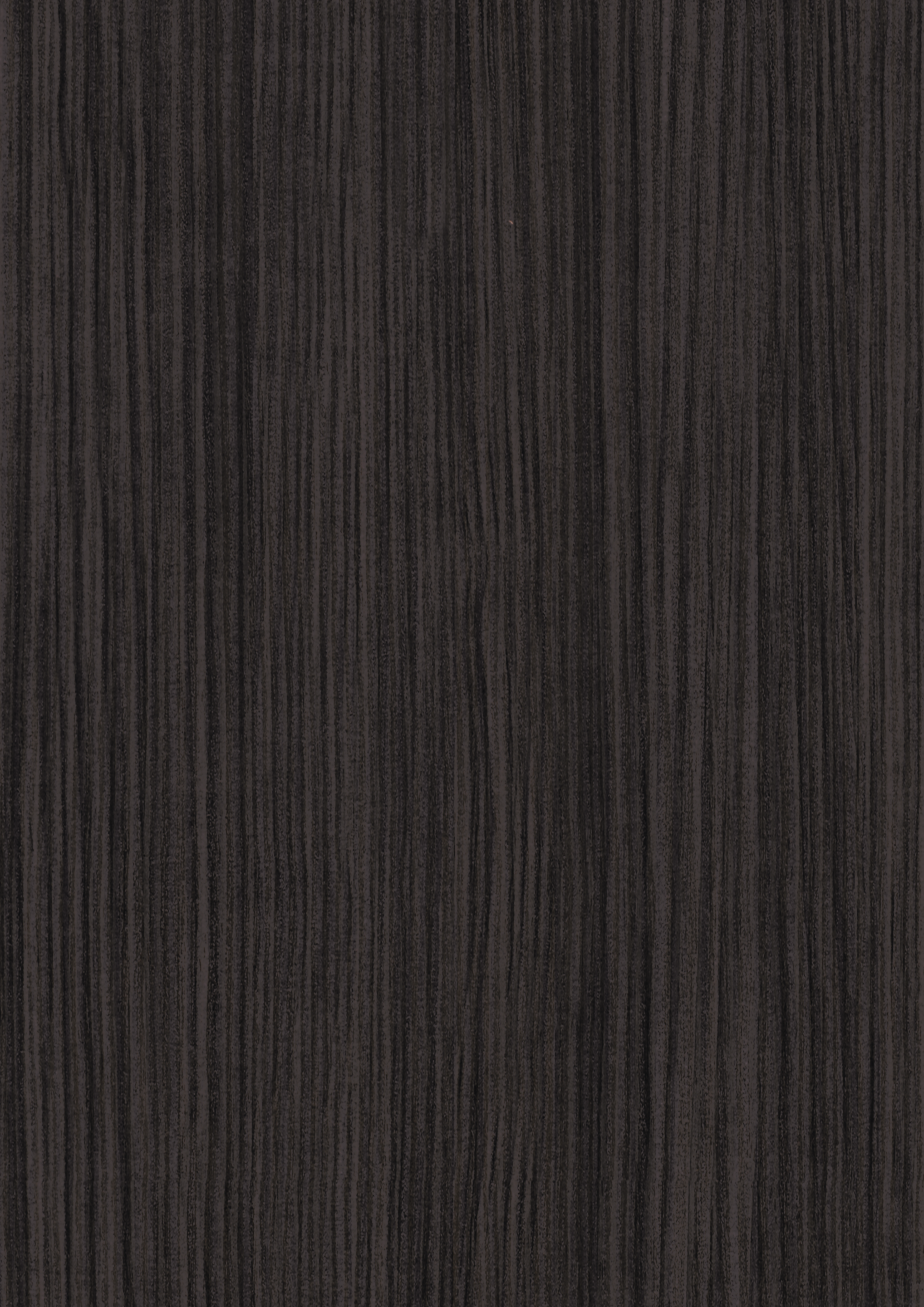 Pin Havana noir H3081 ST22