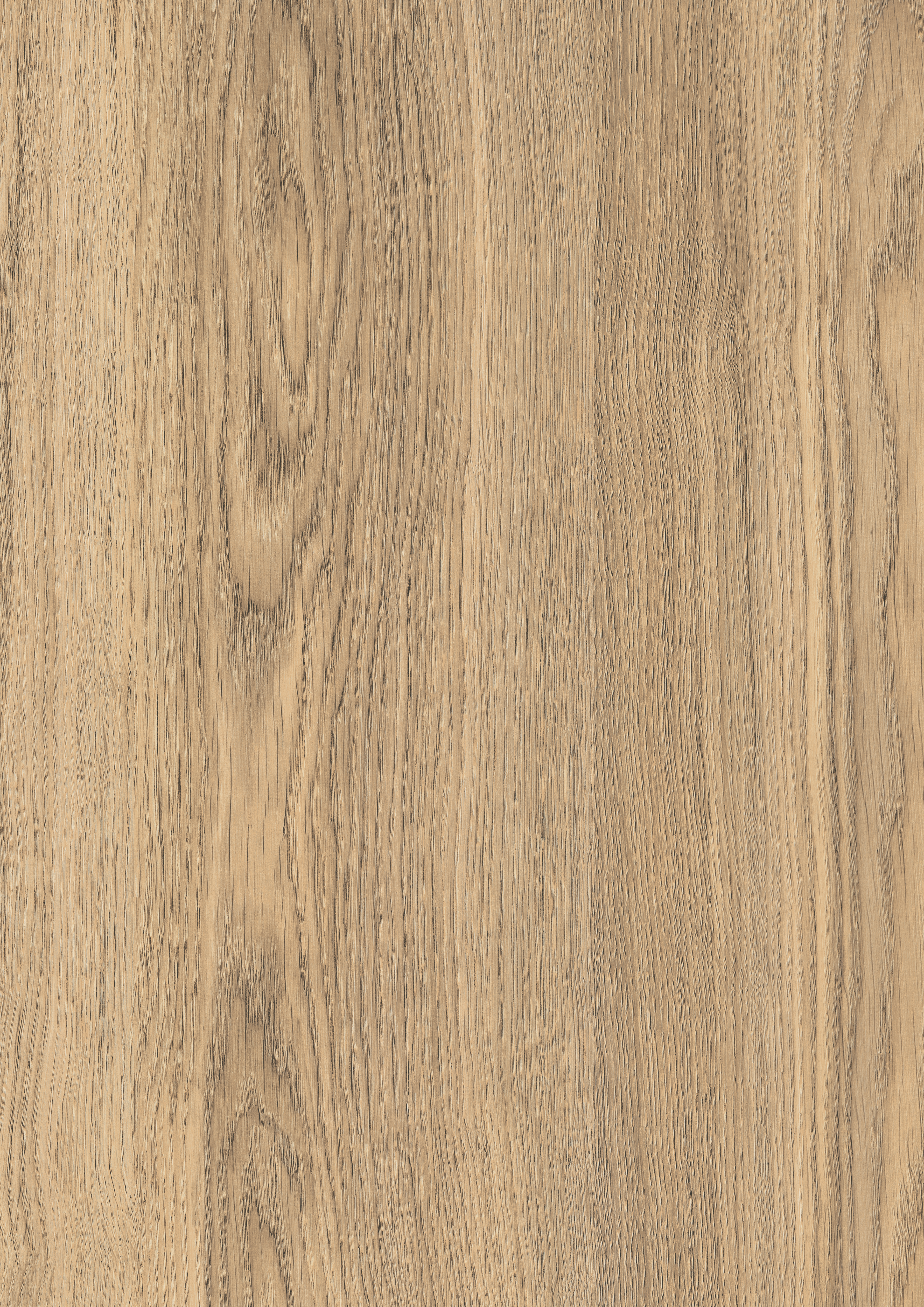 Light Natural Rovato Oak U220 ST9
