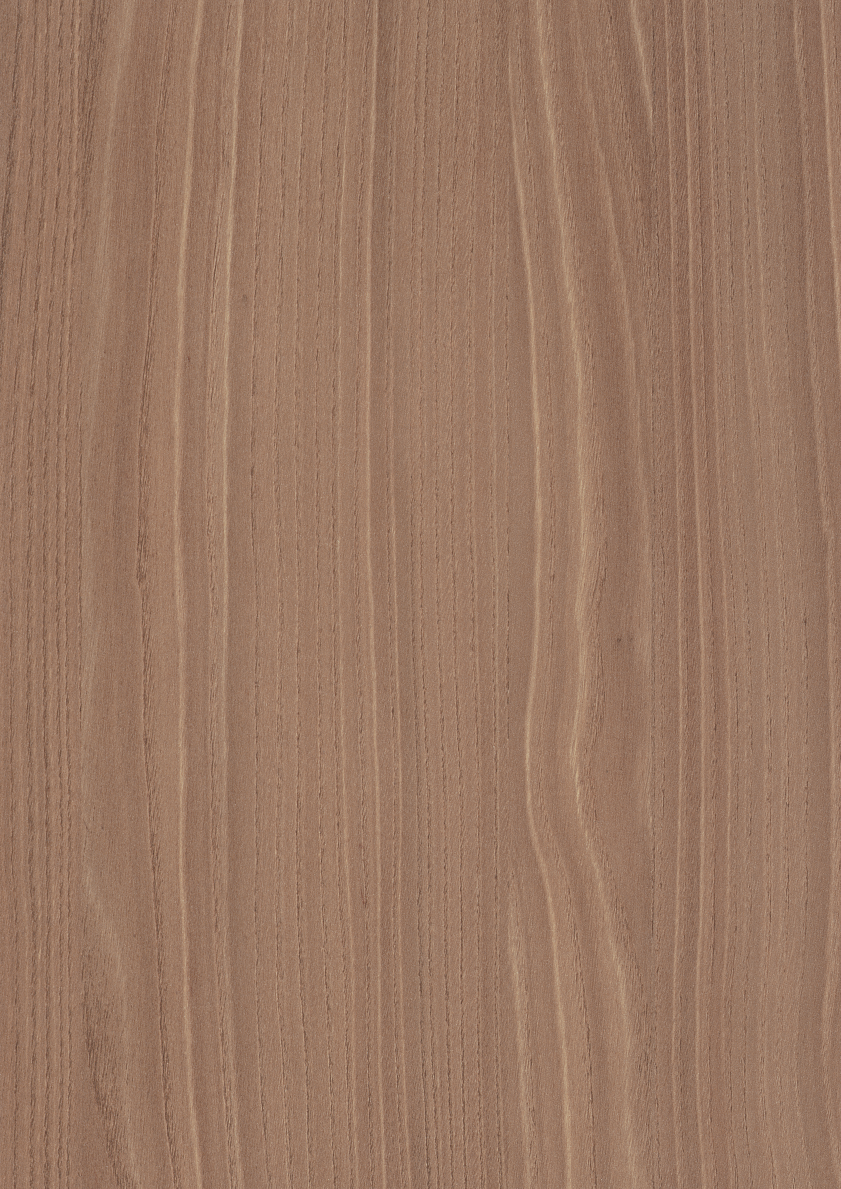 Natural Bolivar Wood F836 ST75