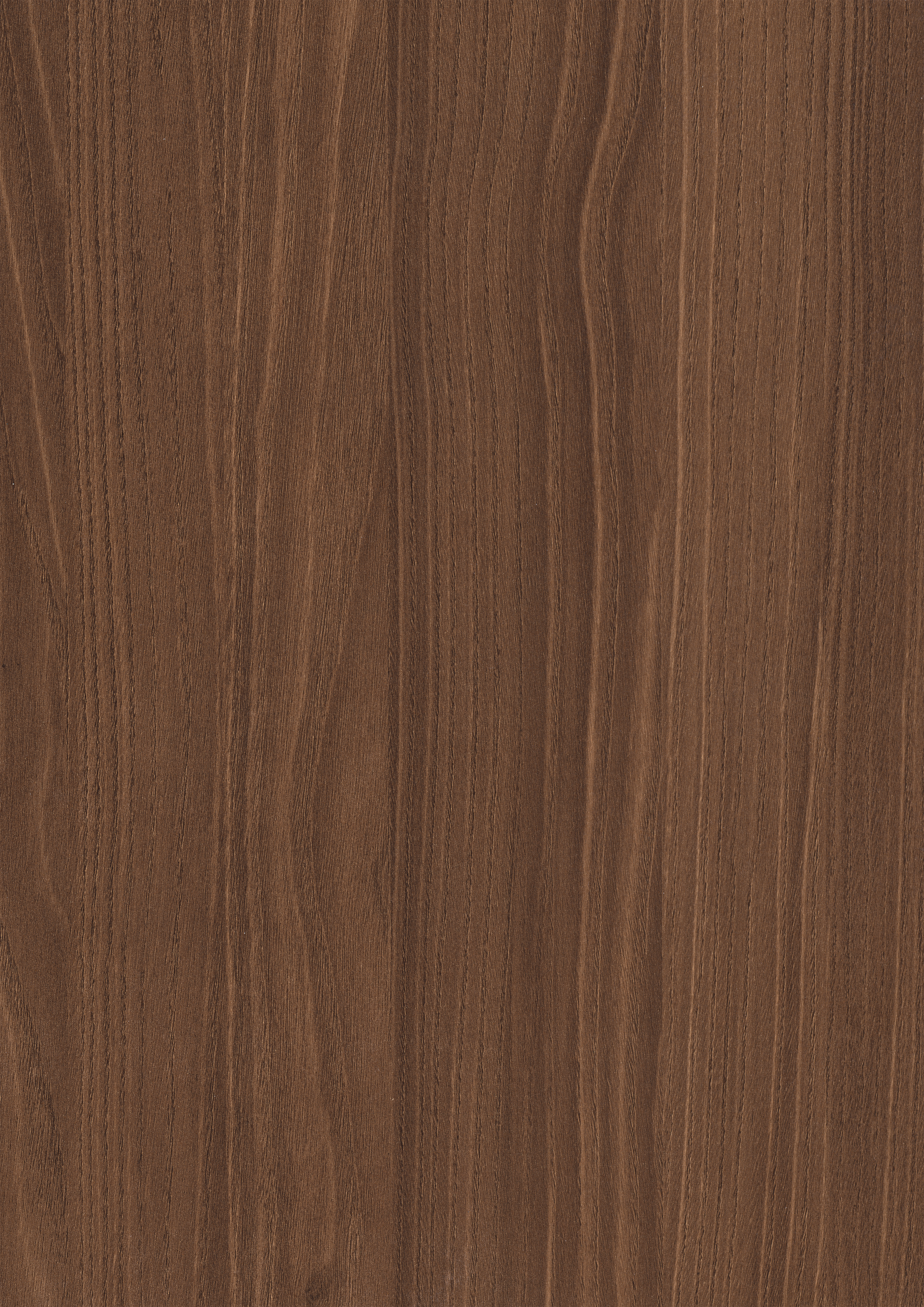 Brown Bolivar Wood U250 TM