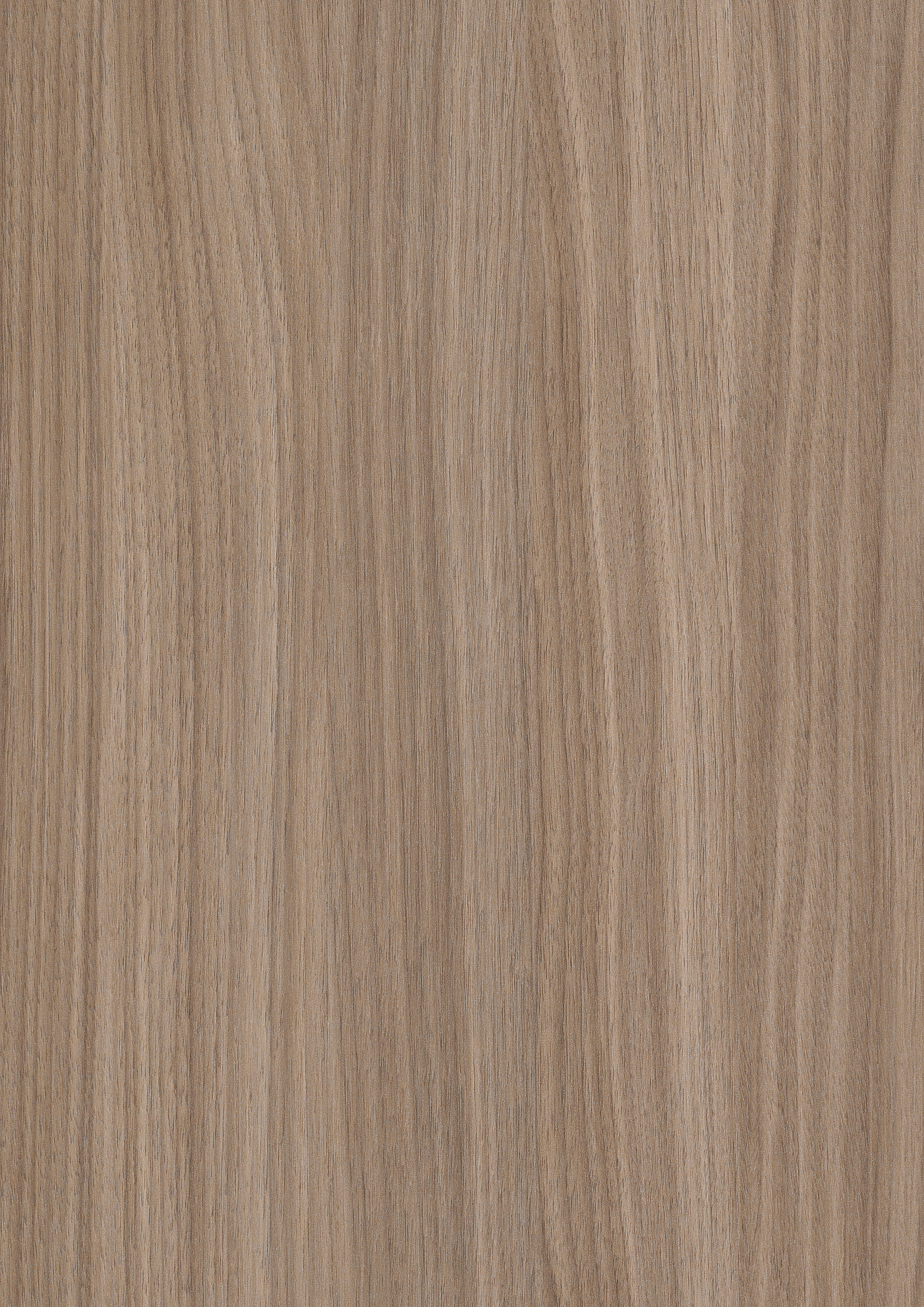Natural Dimaro Walnut F267 ST76