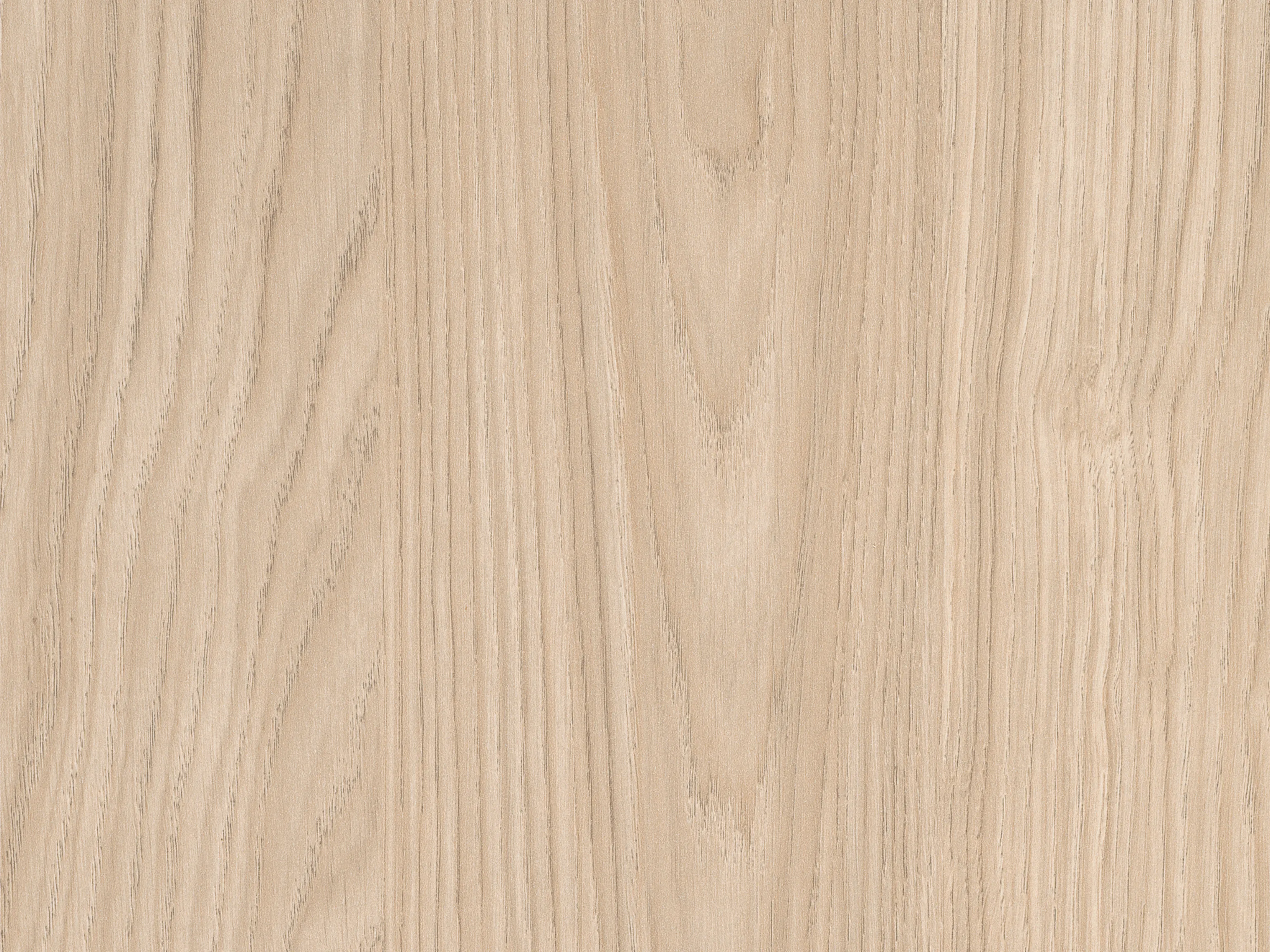 H1388 ST17 Dub Casella pieskový