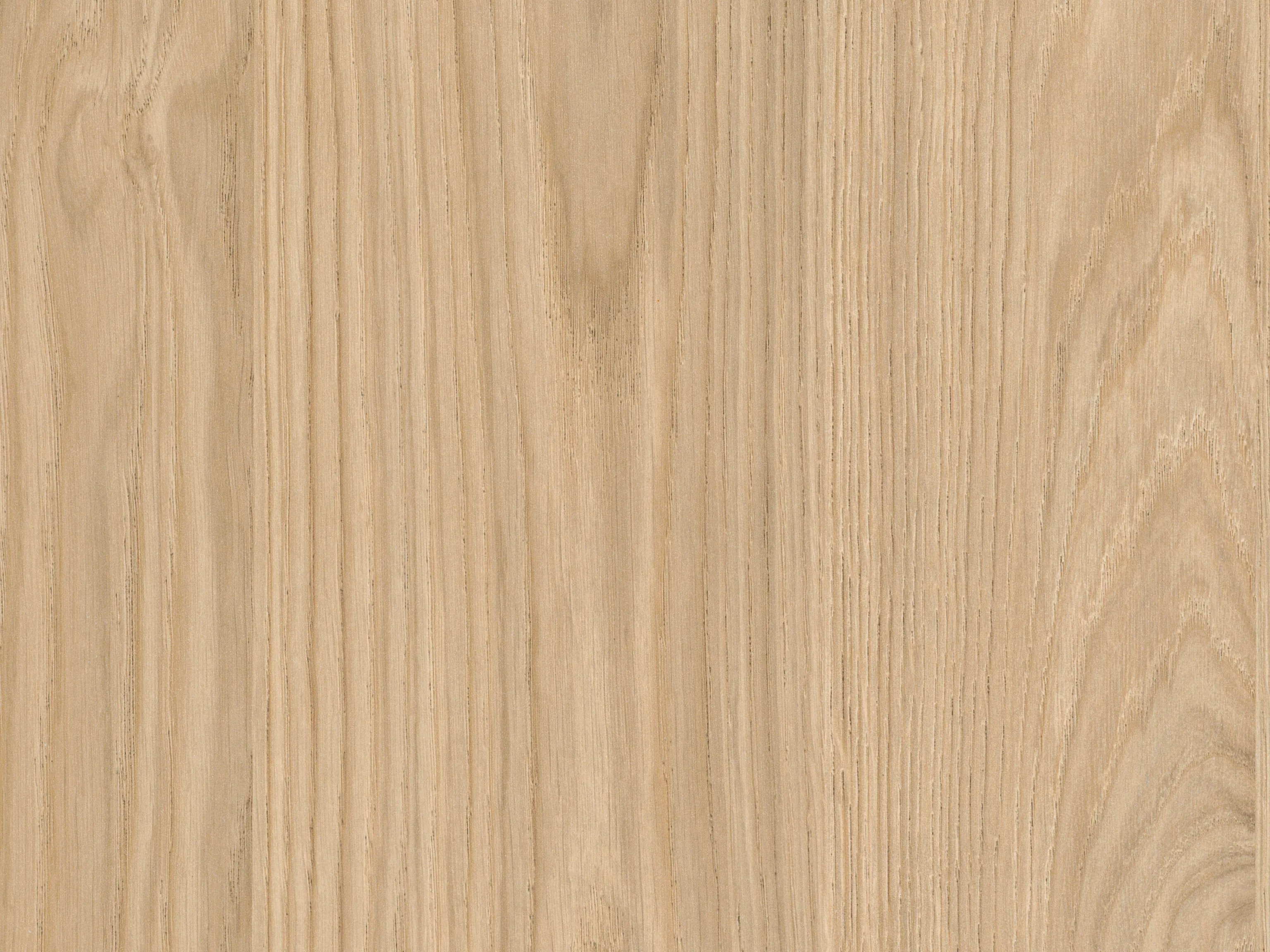 H1367 ST17 Dub Casella prírodný svetlý